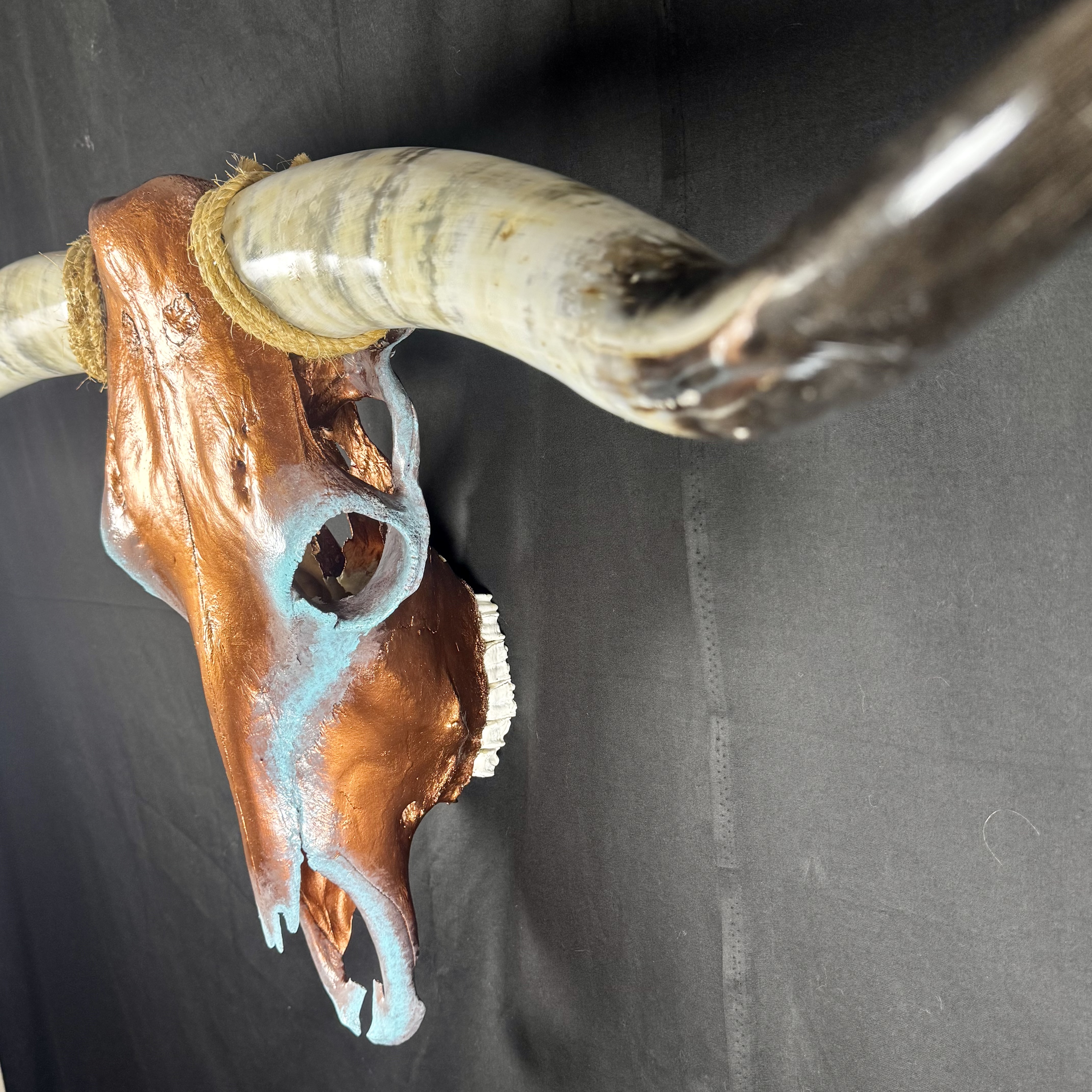 PICK UP ONLY (Tucson) Hand-Painted Longhorn Skull Wall Art