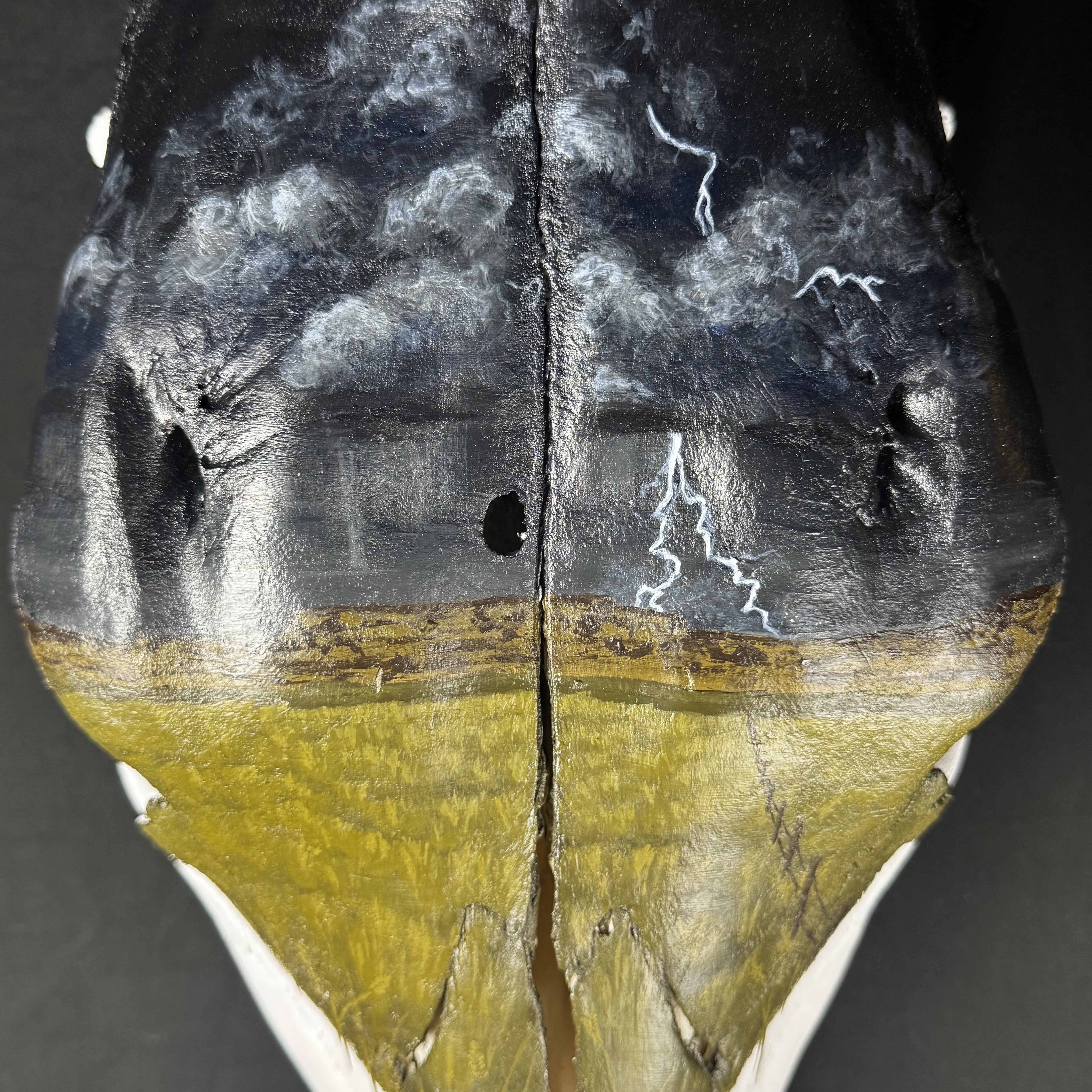 (Thunder Field) Hand-Painted Cow Skull Decor