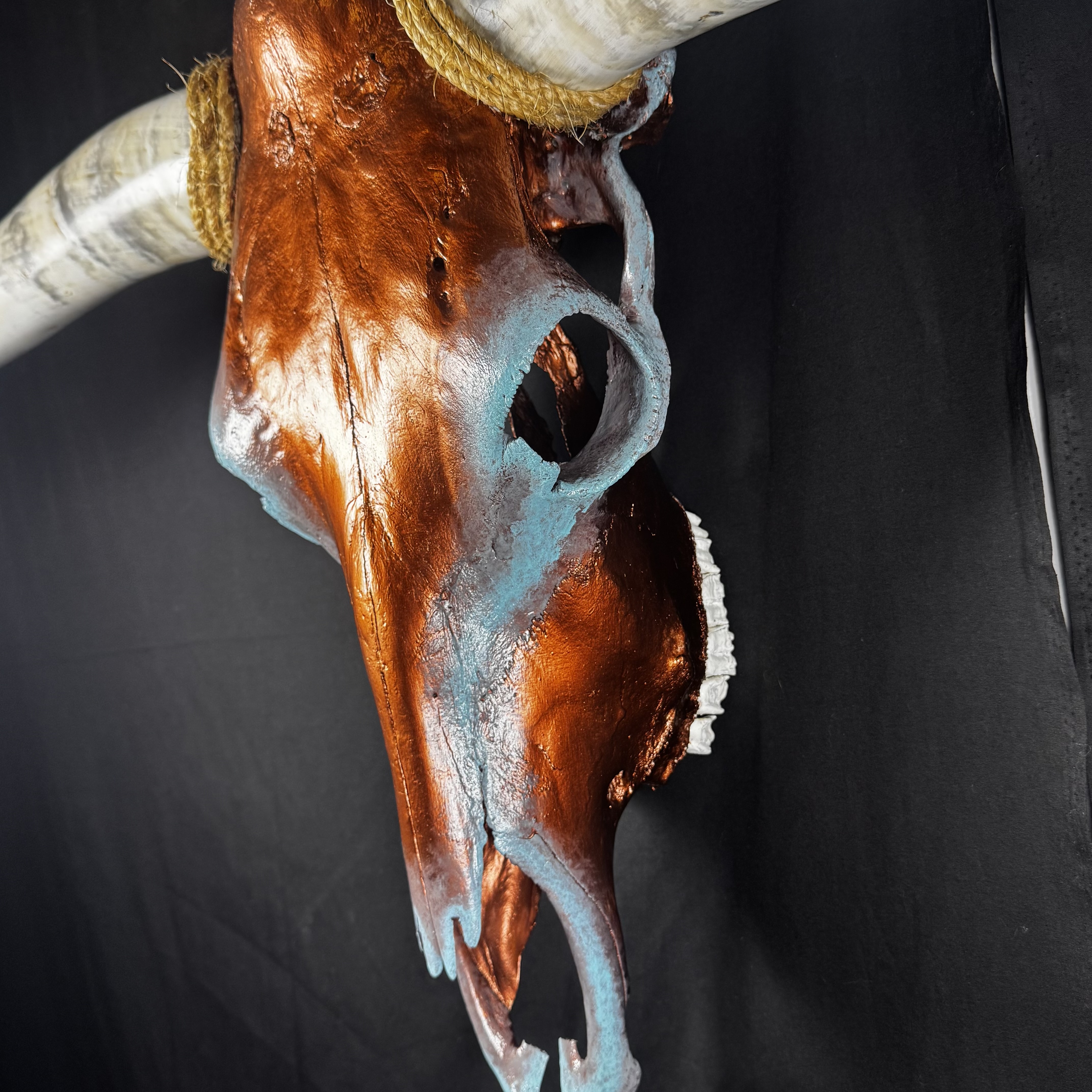 PICK UP ONLY (Tucson) Hand-Painted Longhorn Skull Wall Art
