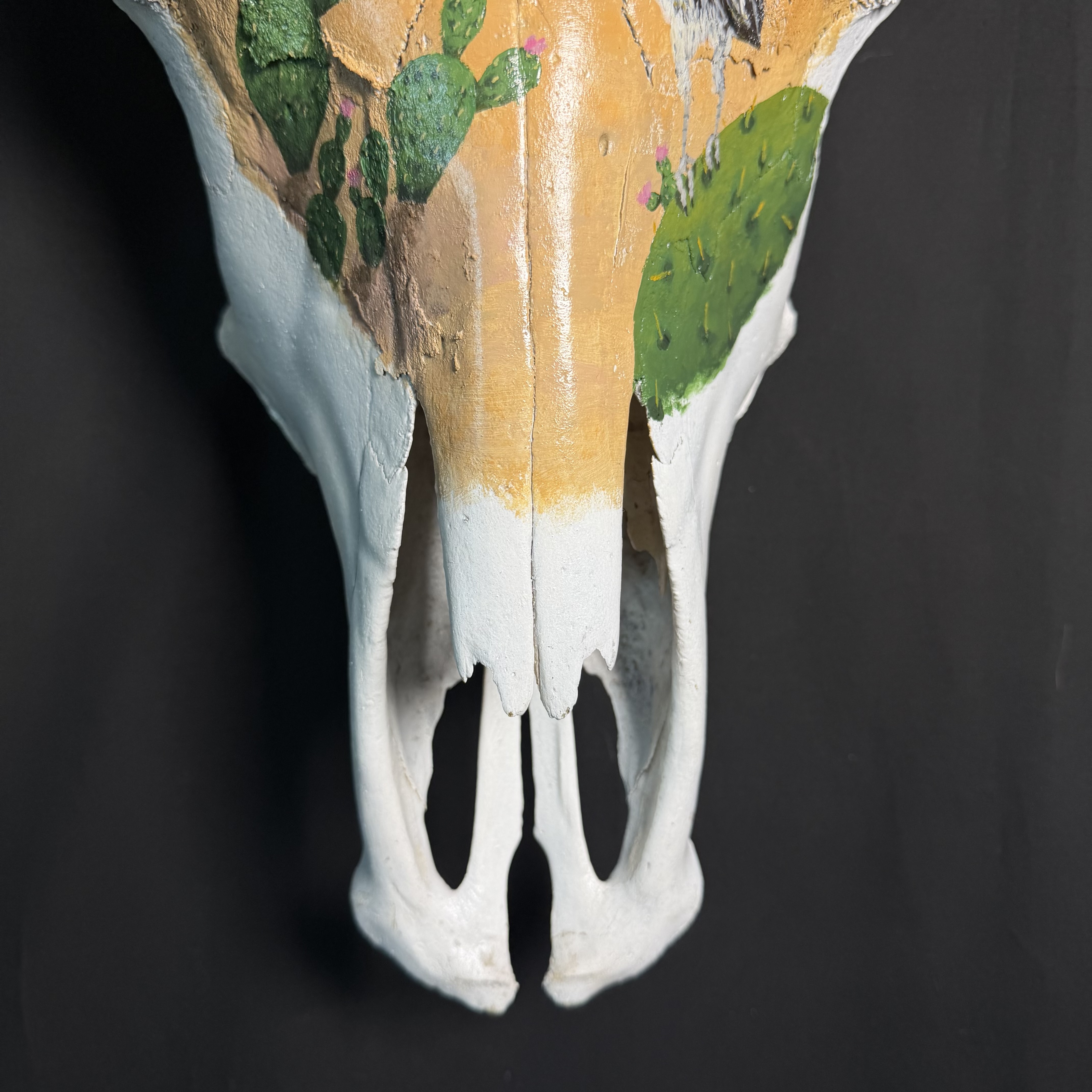 PICK UP ONLY (Sonoran) Hand-Painted Longhorn Skull Wall Art