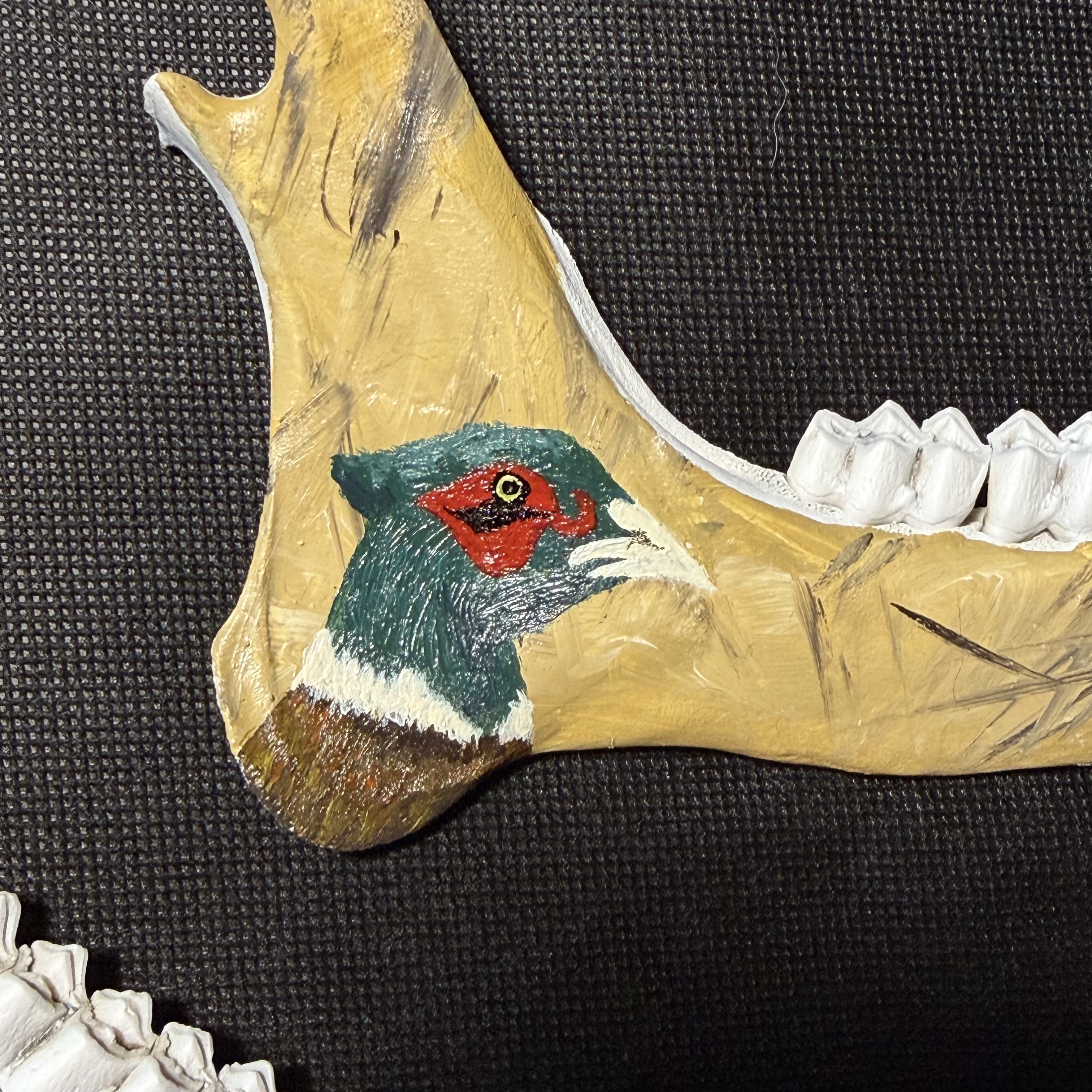 (Pheasant) Hand-Painted Deer Jawbone Set Decor