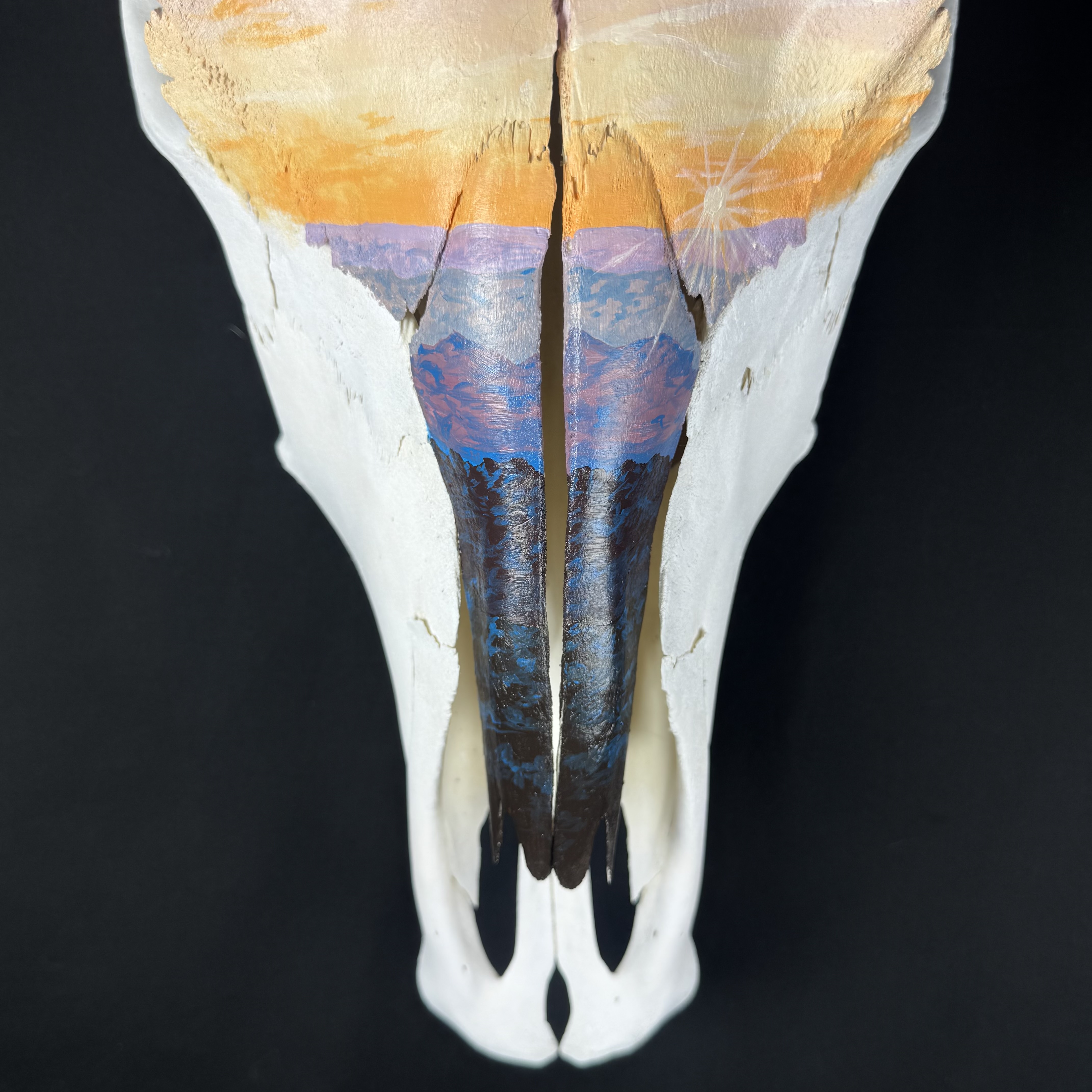 (Daybreak) Sunset Hand-Painted Animal Skull