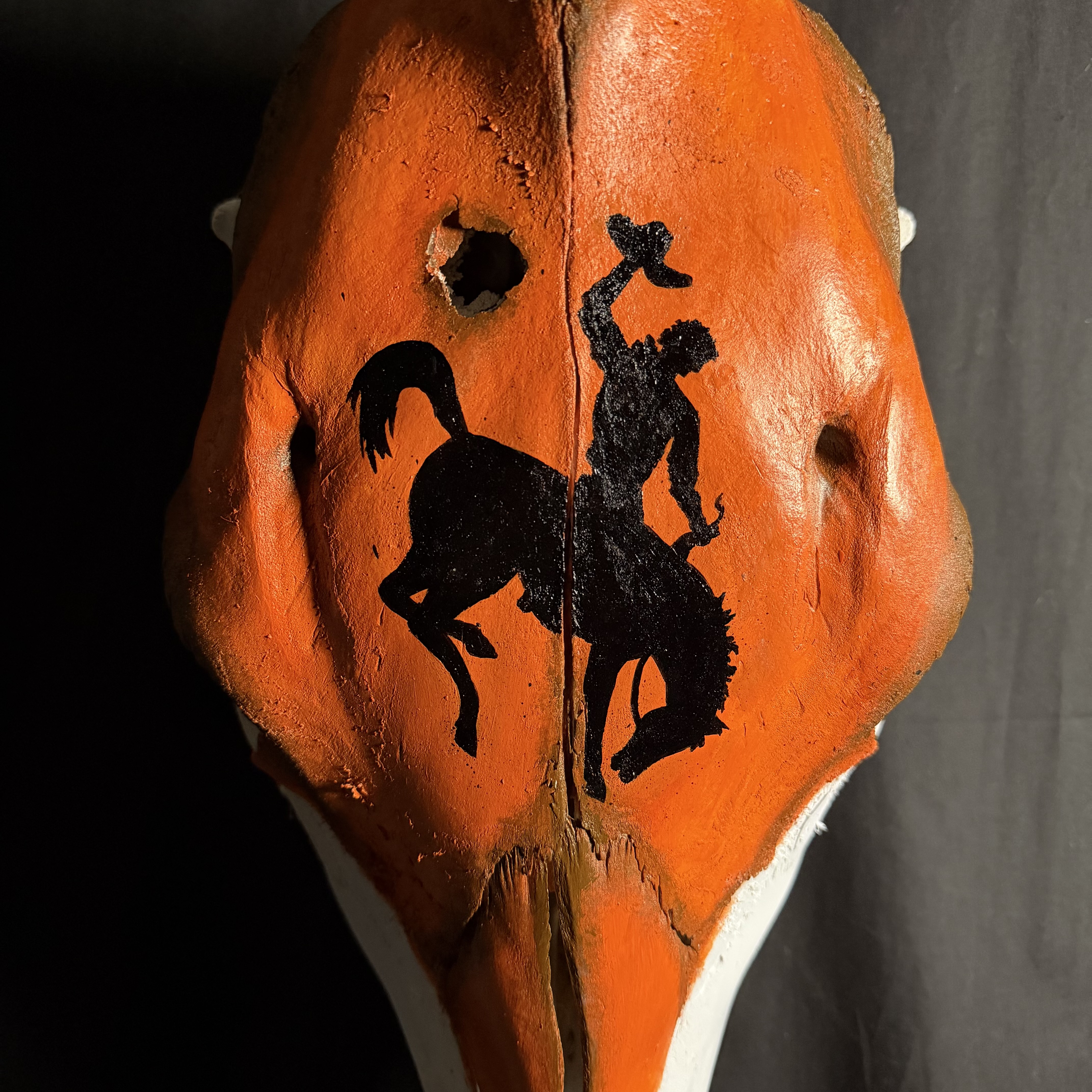 (Bronco) Hand-Painted Cow Skull Decor