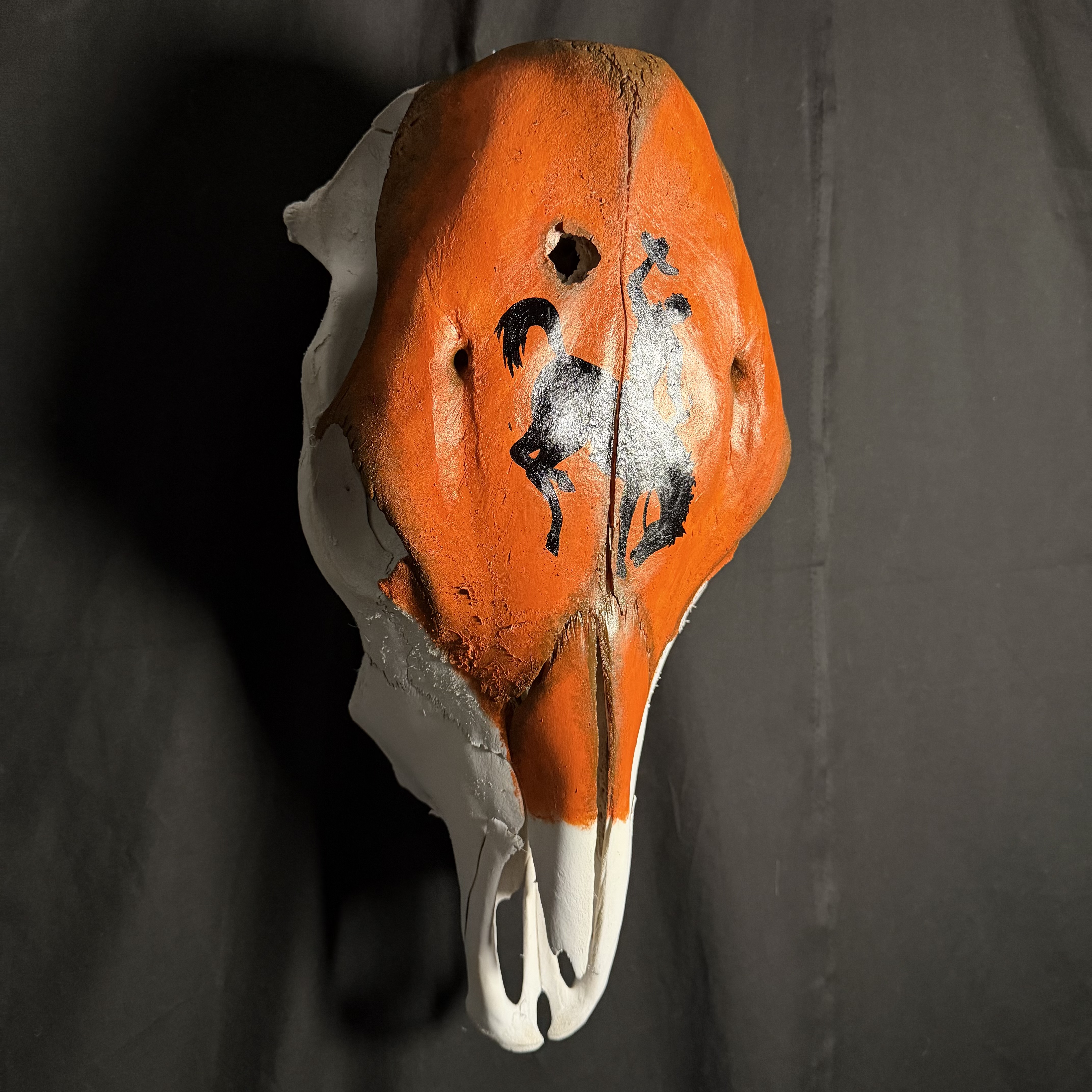 (Bronco) Hand-Painted Cow Skull Decor