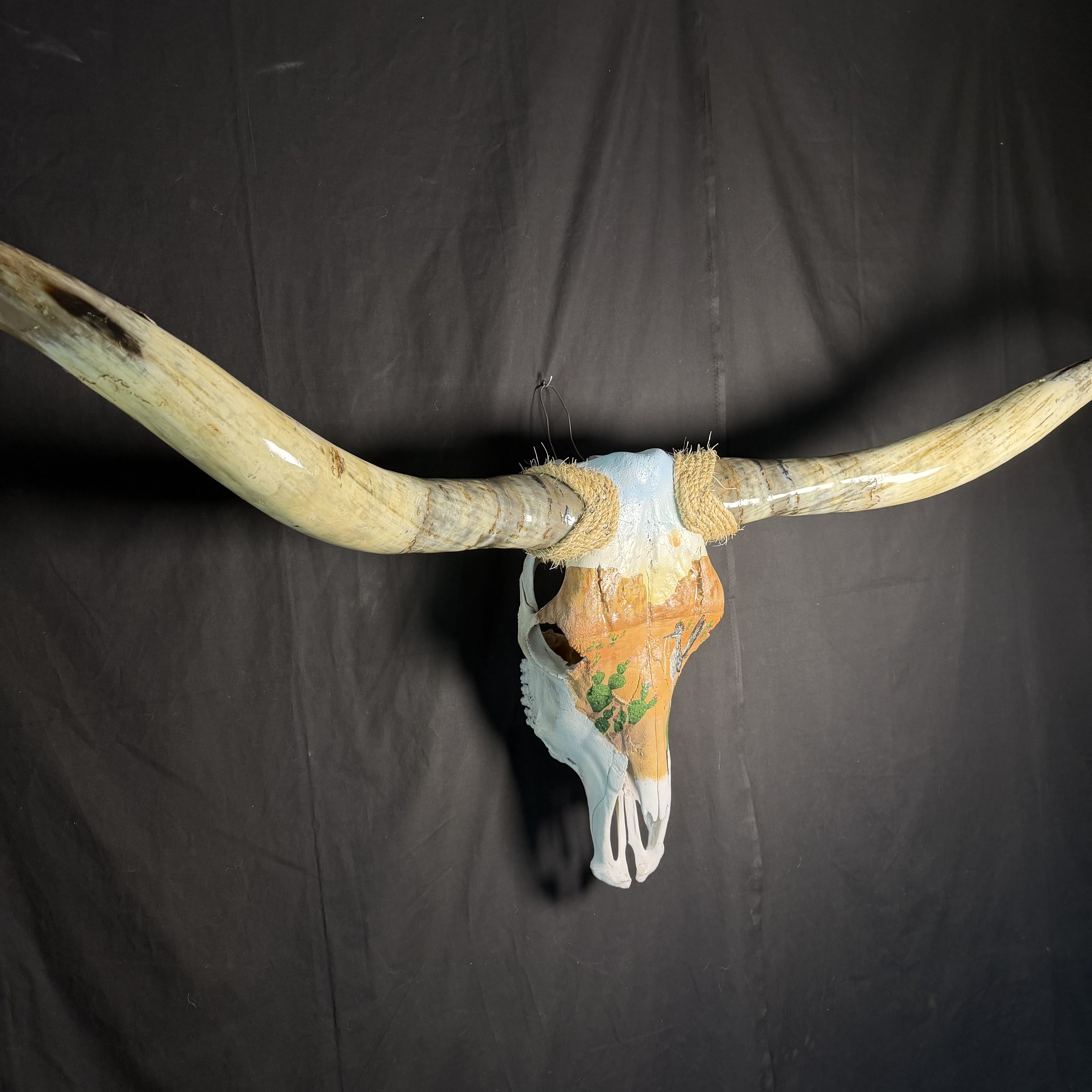 PICK UP ONLY (Sonoran) Hand-Painted Longhorn Skull Wall Art