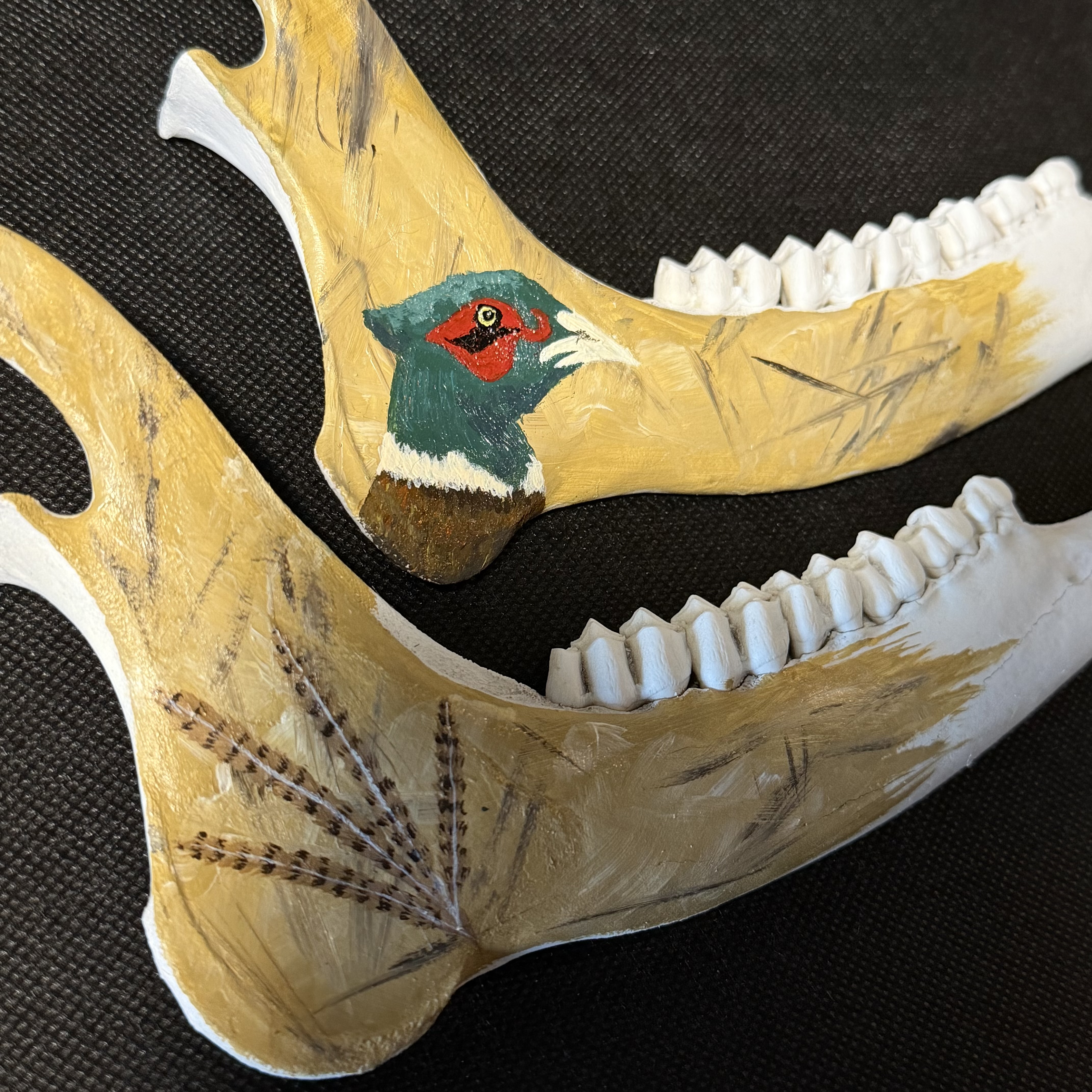 (Pheasant) Hand-Painted Deer Jawbone Set Decor