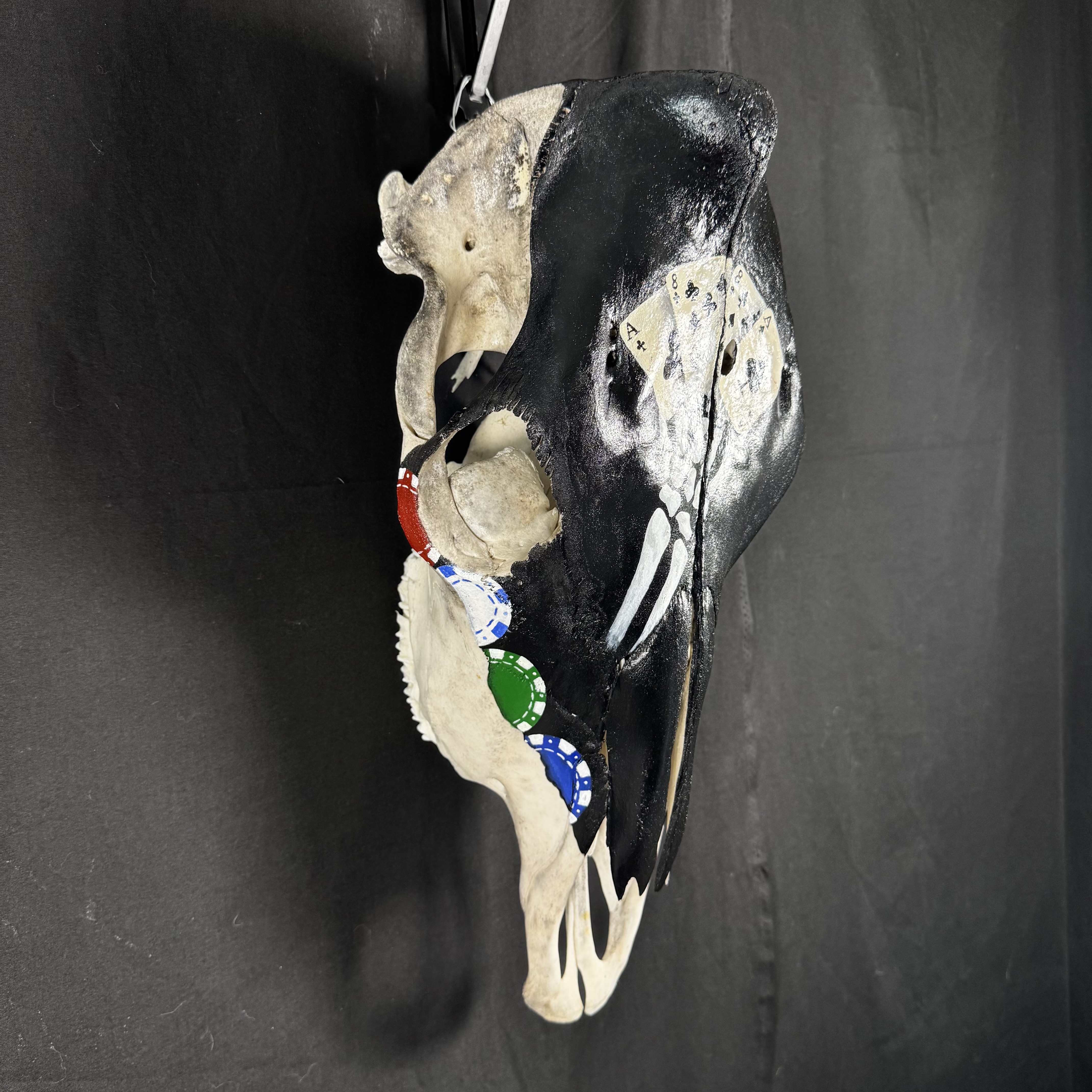 (Dead Man's Hand) Hand-Painted Gambling Cow Skull