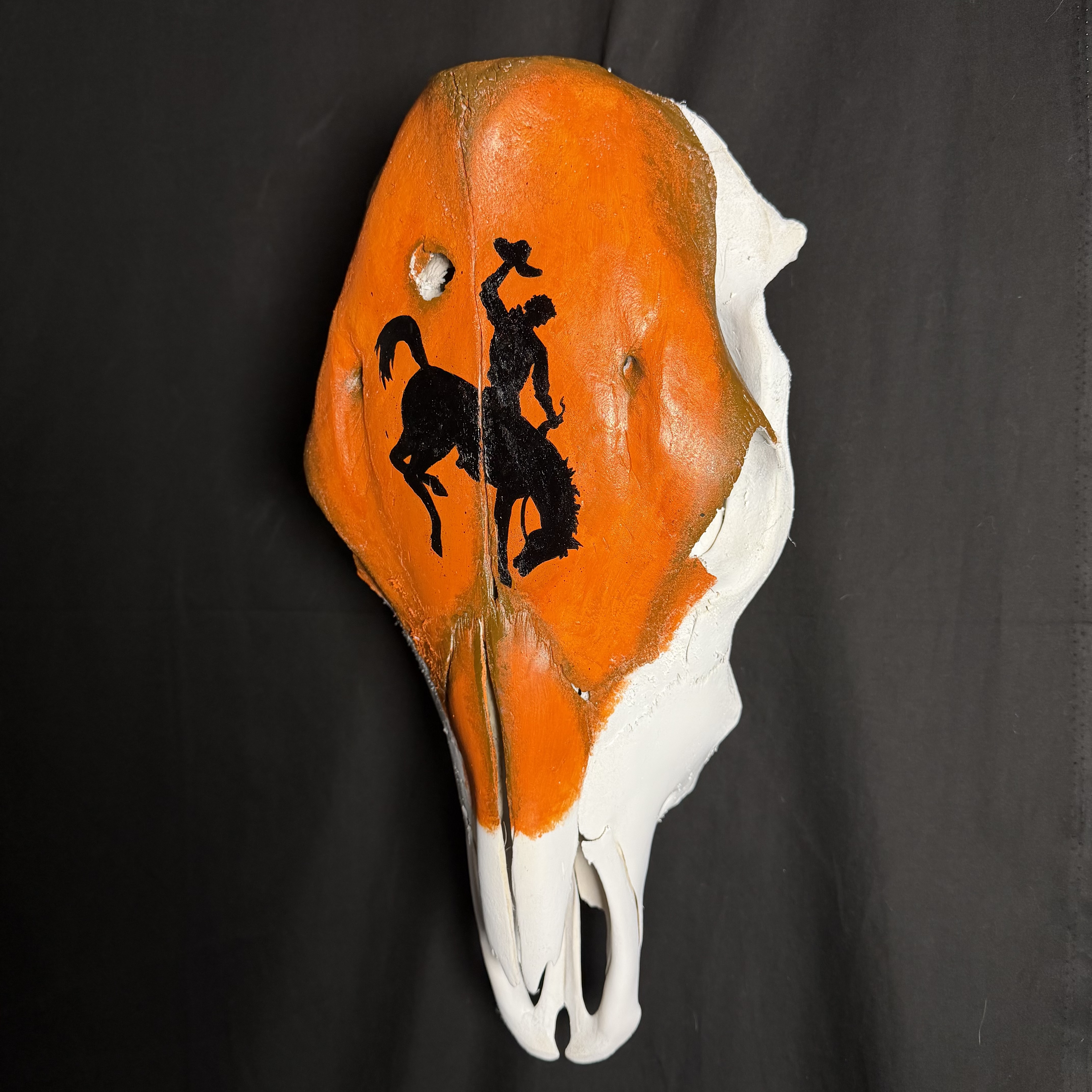 (Bronco) Hand-Painted Cow Skull Decor