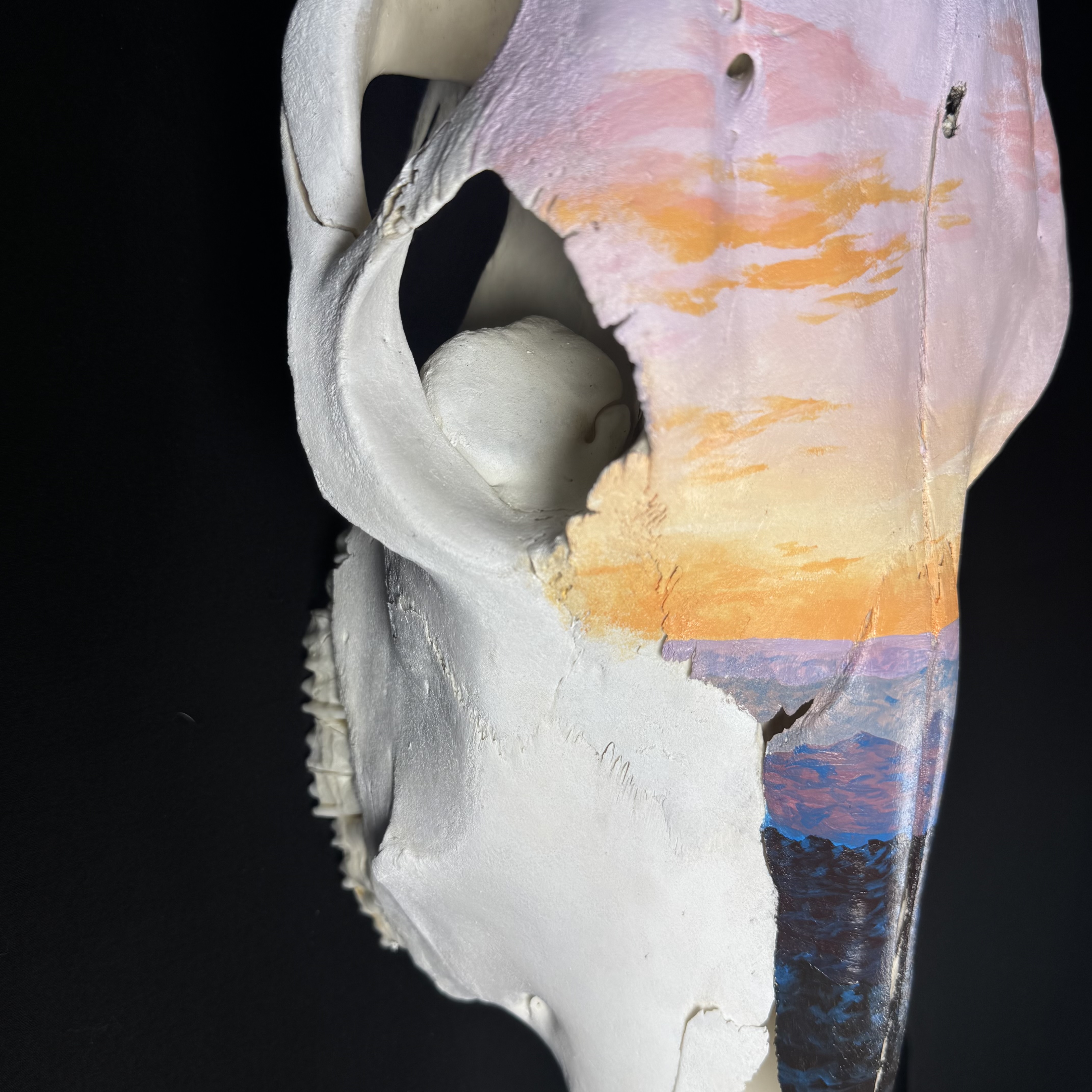 (Daybreak) Sunset Hand-Painted Animal Skull