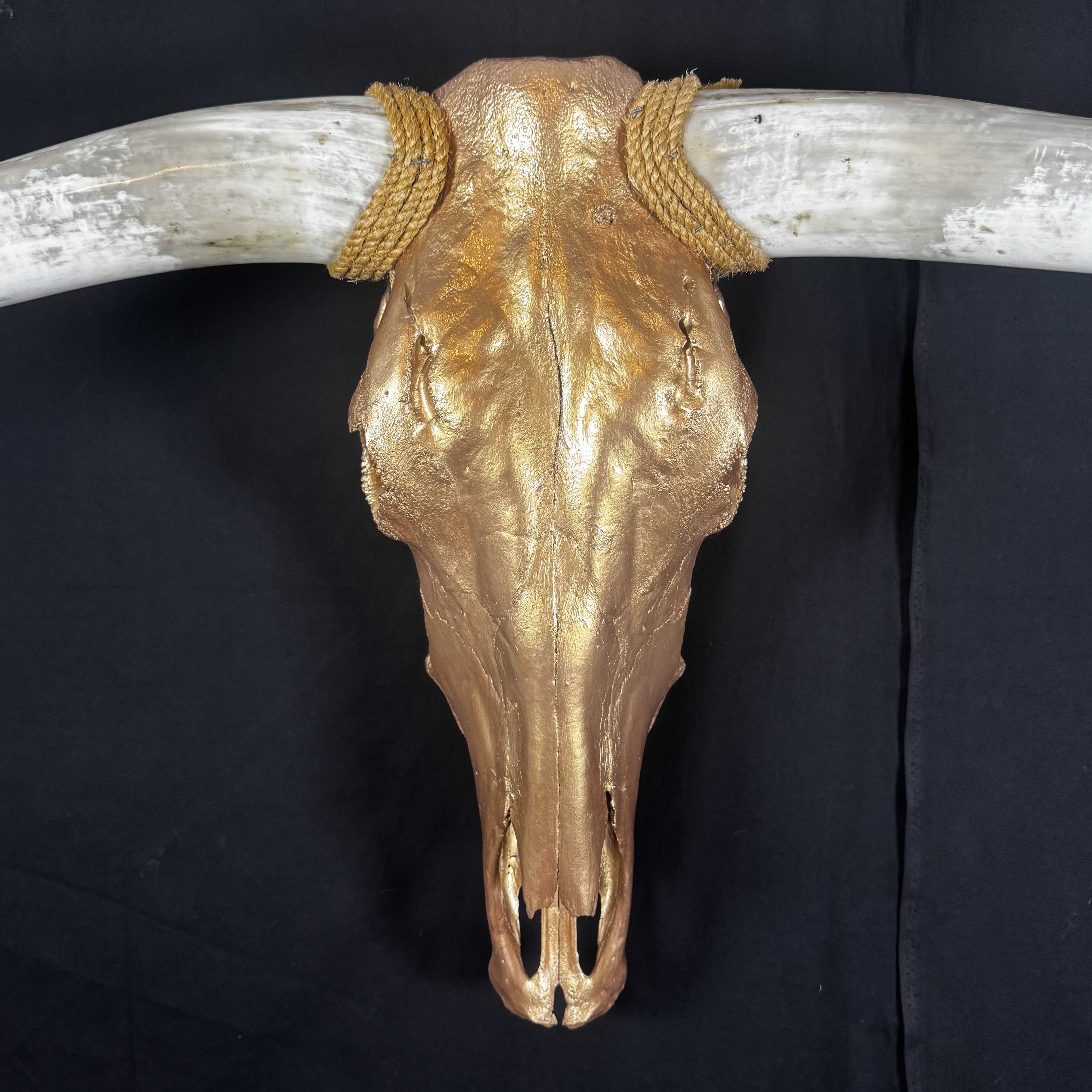 PICK UP ONLY (Weston) Hand-Painted Longhorn Skull Wall Art