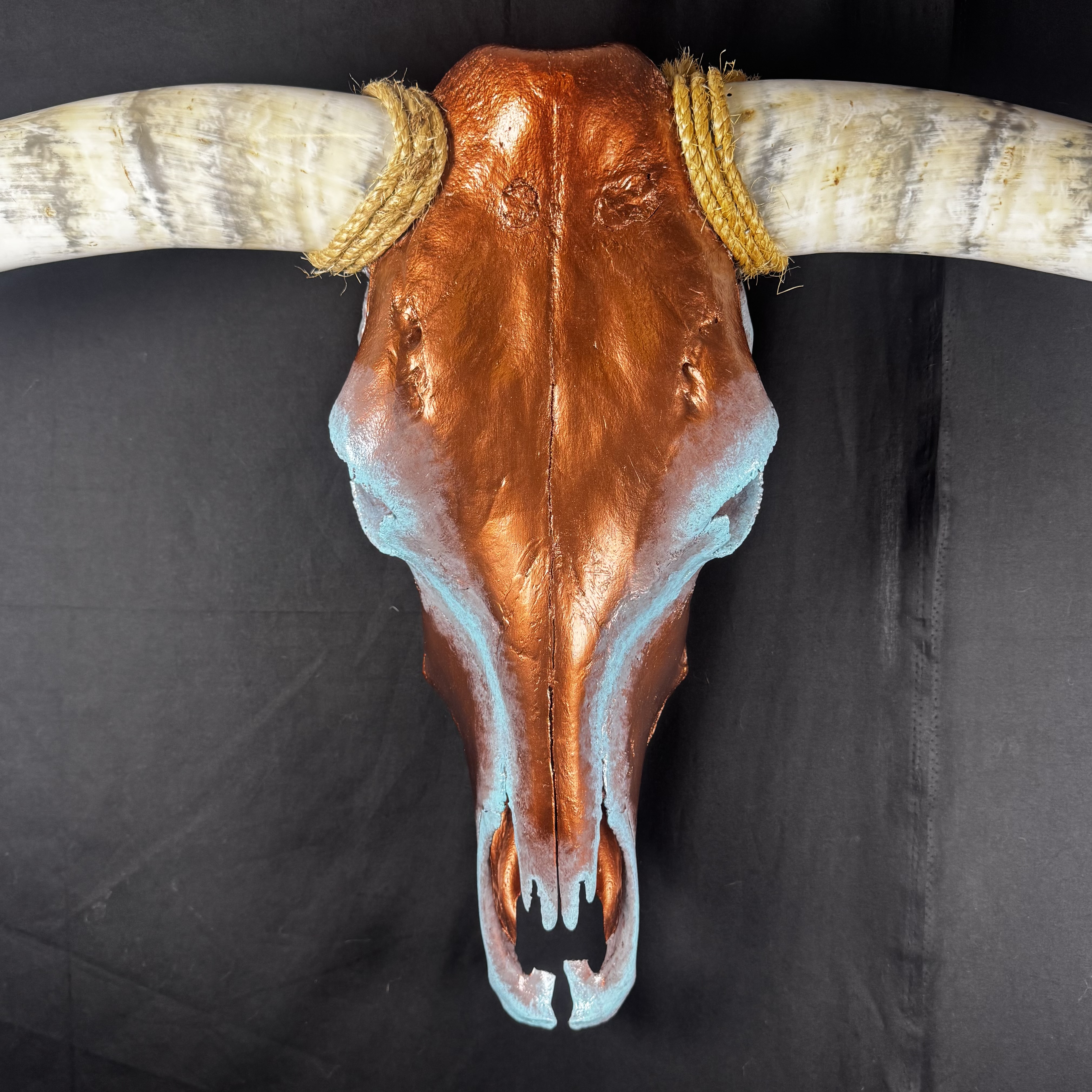 PICK UP ONLY (Tucson) Hand-Painted Longhorn Skull Wall Art