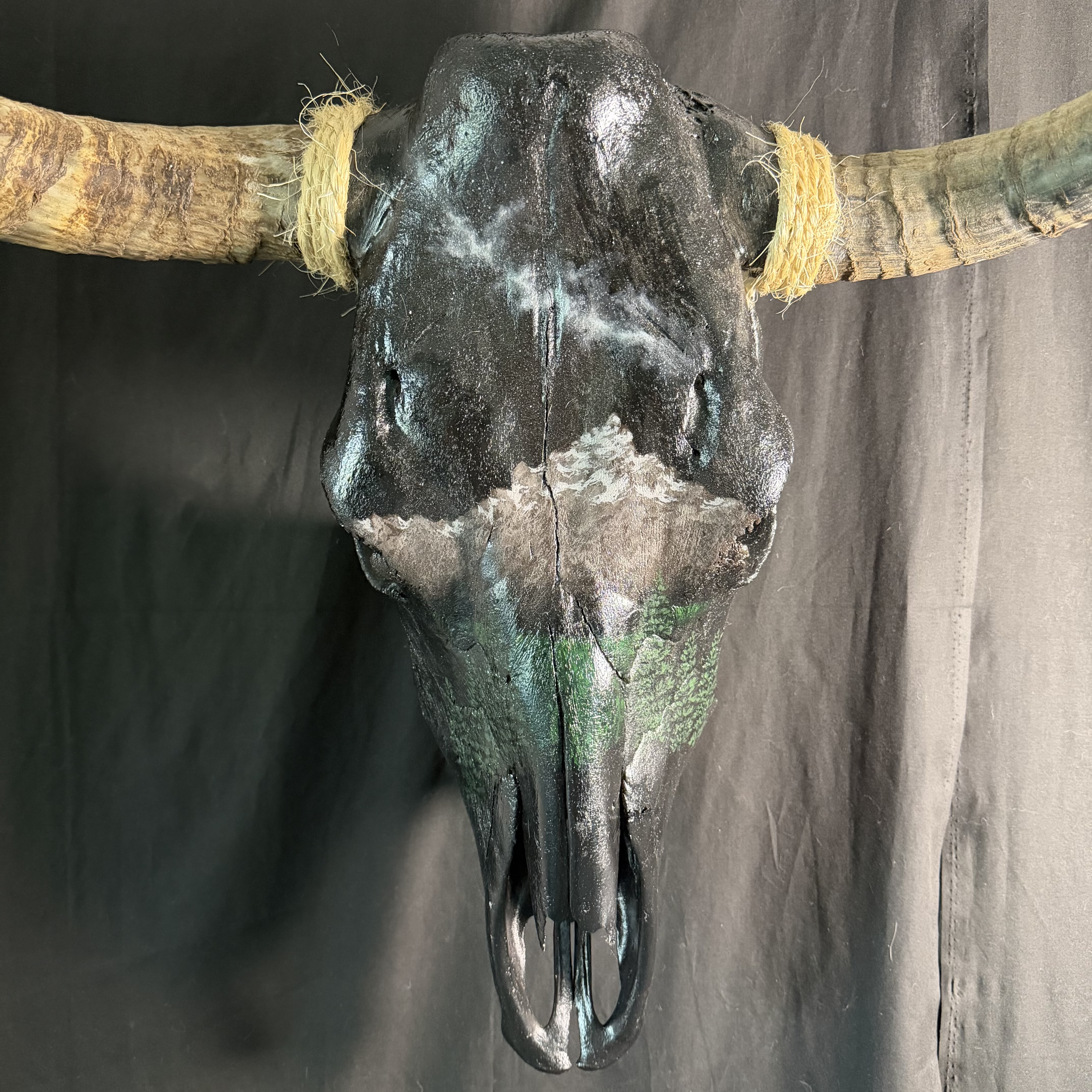 PICK UP ONLY (Alpine) Decorative Bull Skull Wall Mount