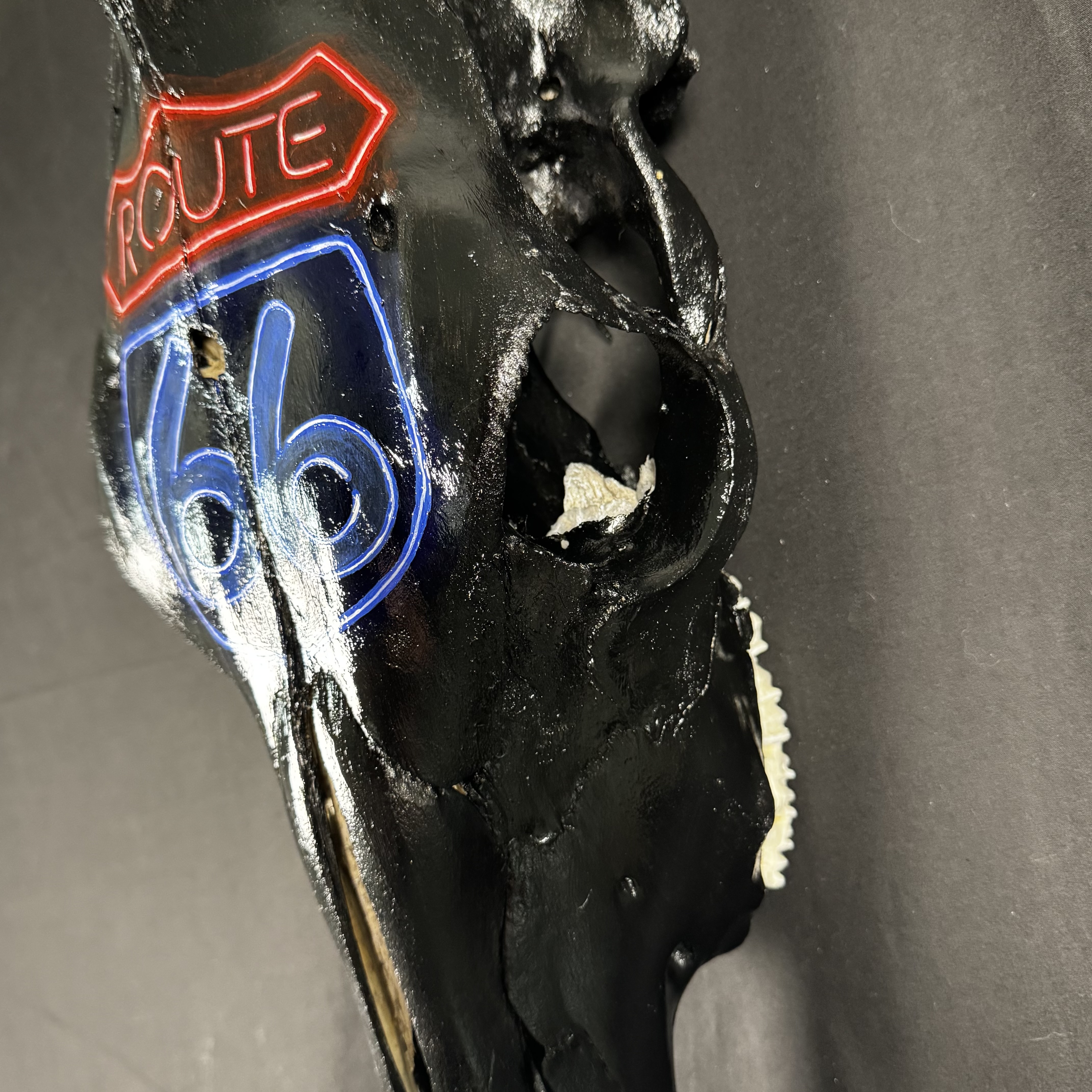 (Route 66) Neon Cow Skull Wall Art