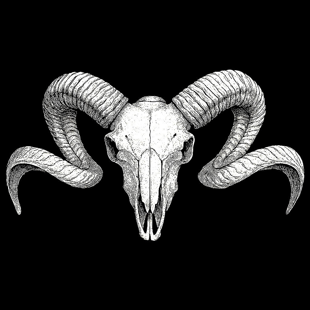 CR Euro Mounts Ram Skull Black Unisex T-Shirt 100% Cotton