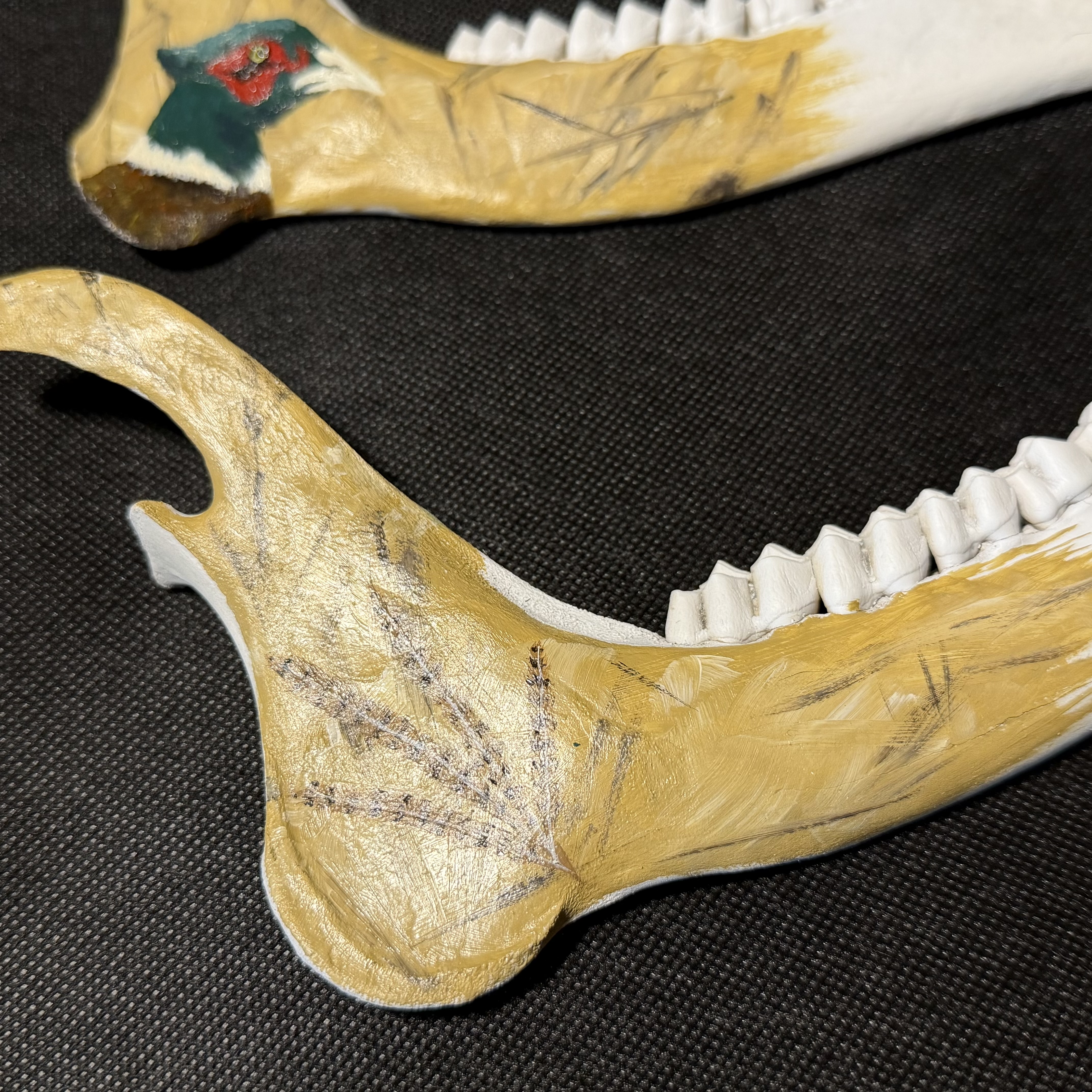 (Pheasant) Hand-Painted Deer Jawbone Set Decor
