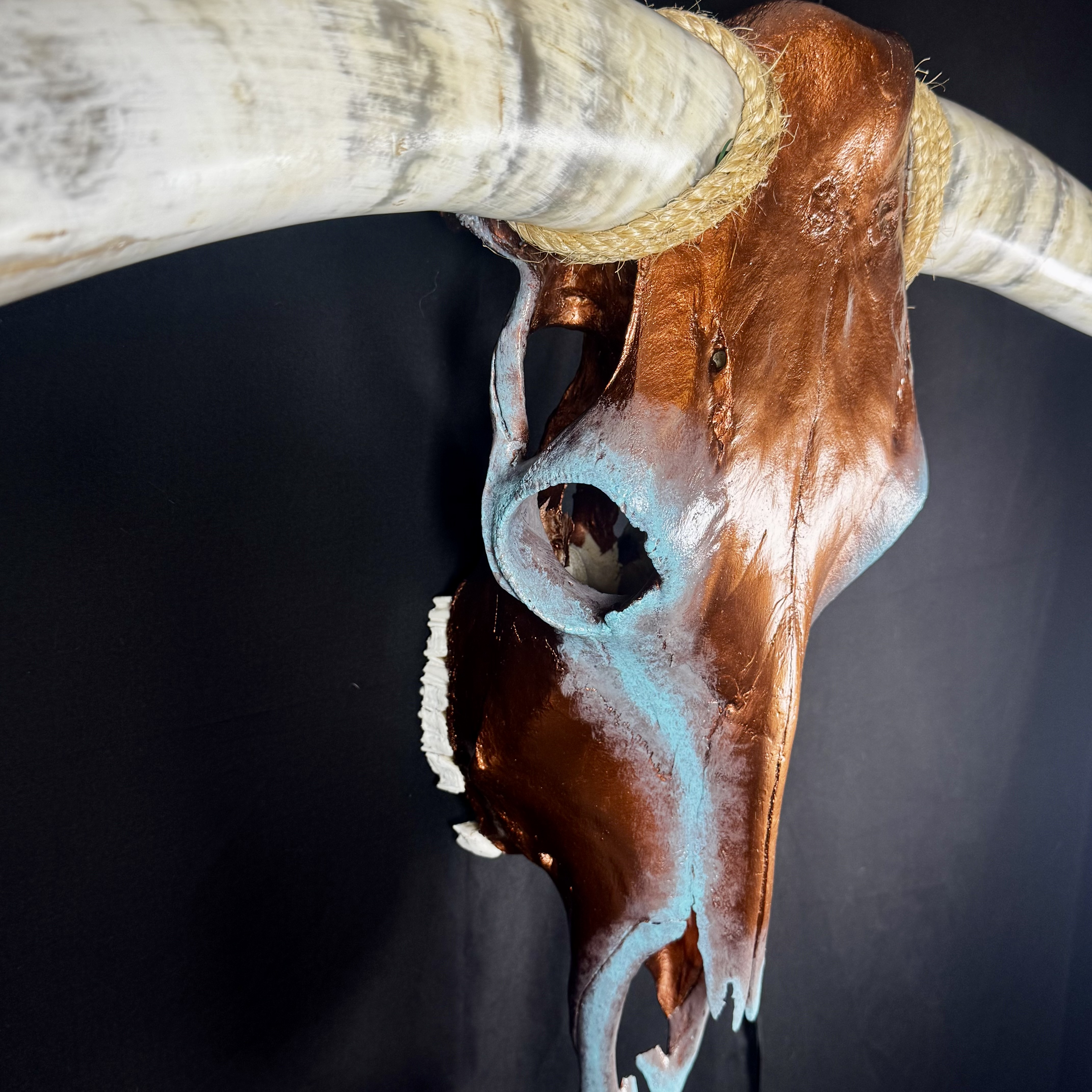 PICK UP ONLY (Tucson) Hand-Painted Longhorn Skull Wall Art