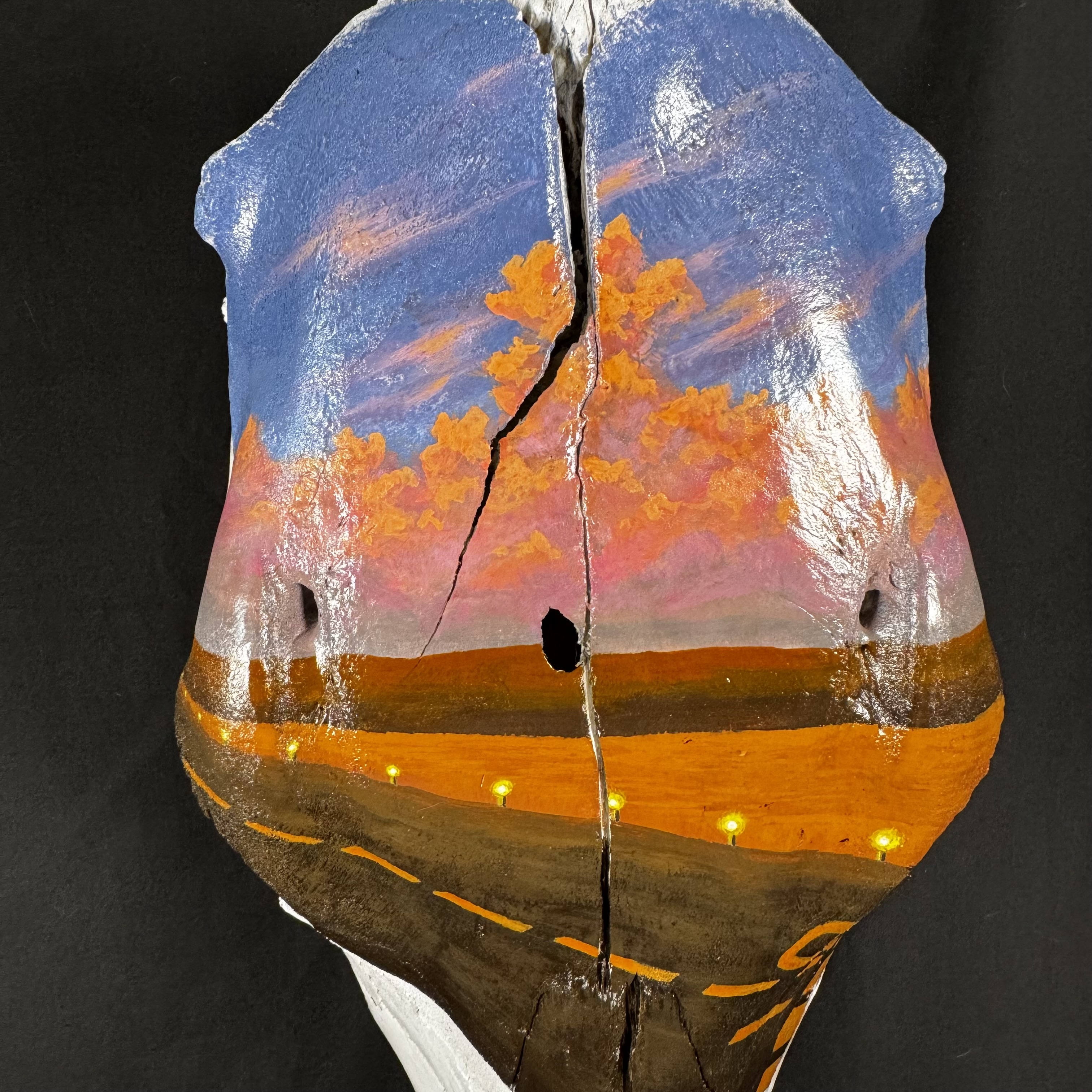 (Cessna) Plane Runway Hand-Painted Cow Skull Decor