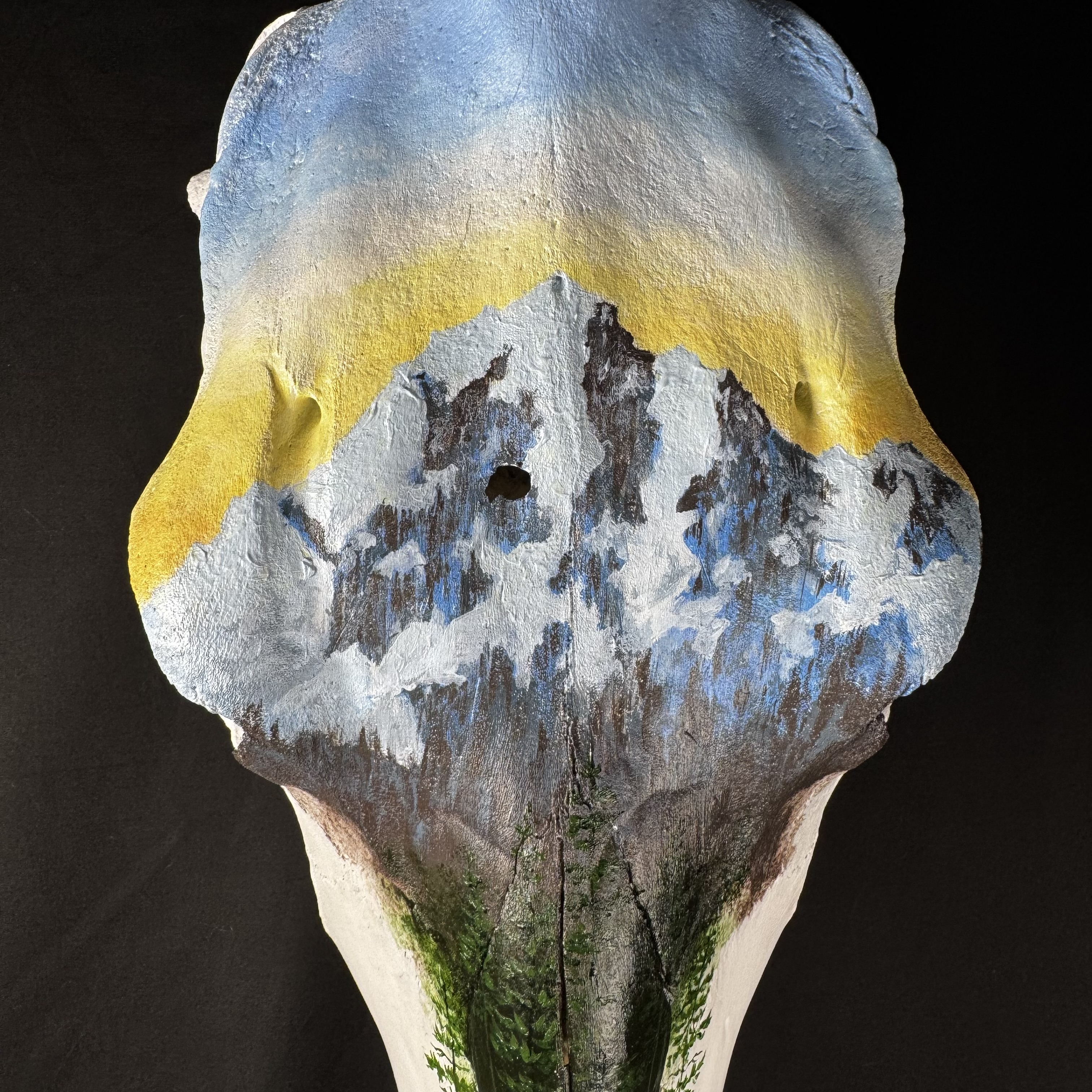 (Ascend) Hand-Painted Mountain Cow Skull