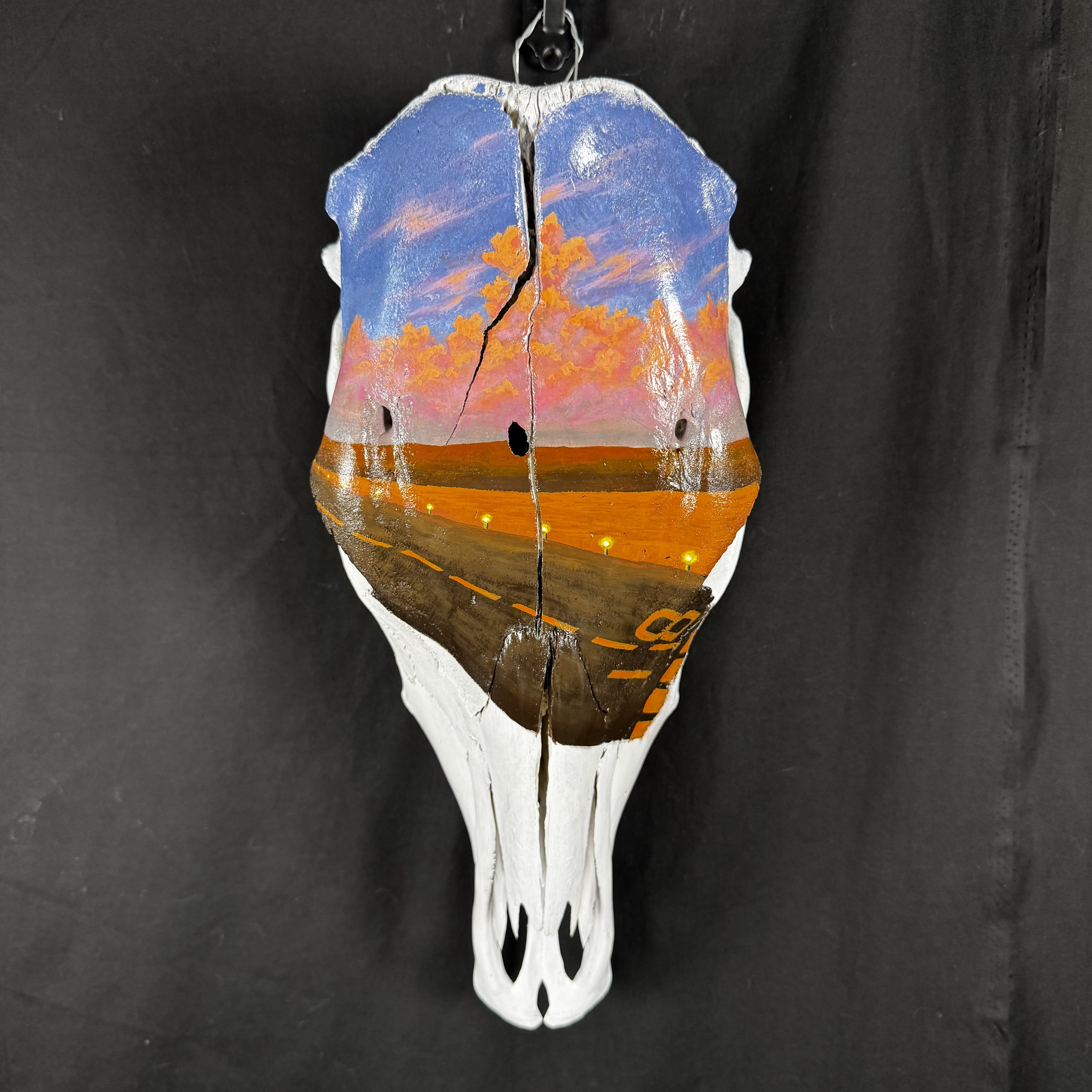 (Cessna) Plane Runway Hand-Painted Cow Skull Decor