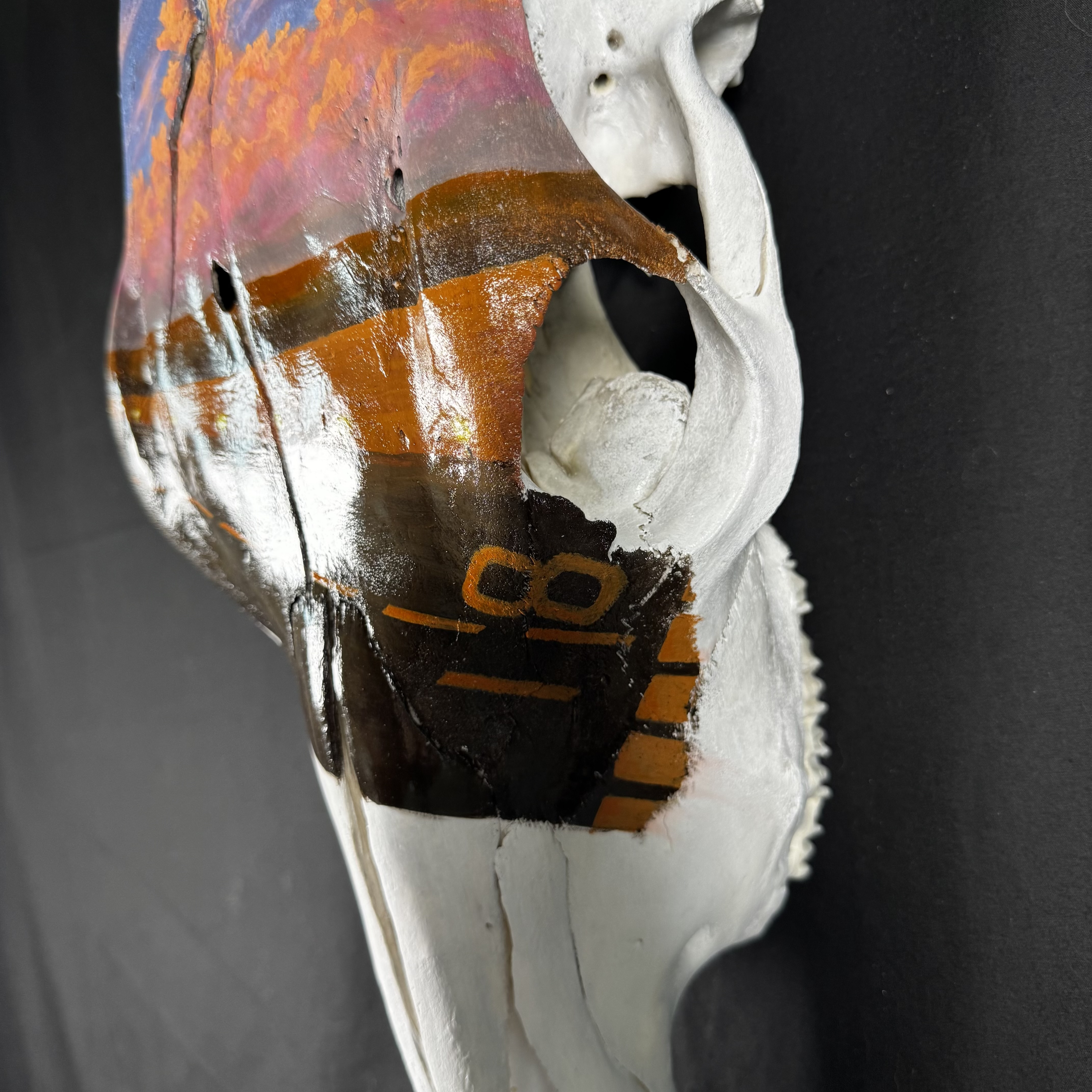 (Cessna) Plane Runway Hand-Painted Cow Skull Decor