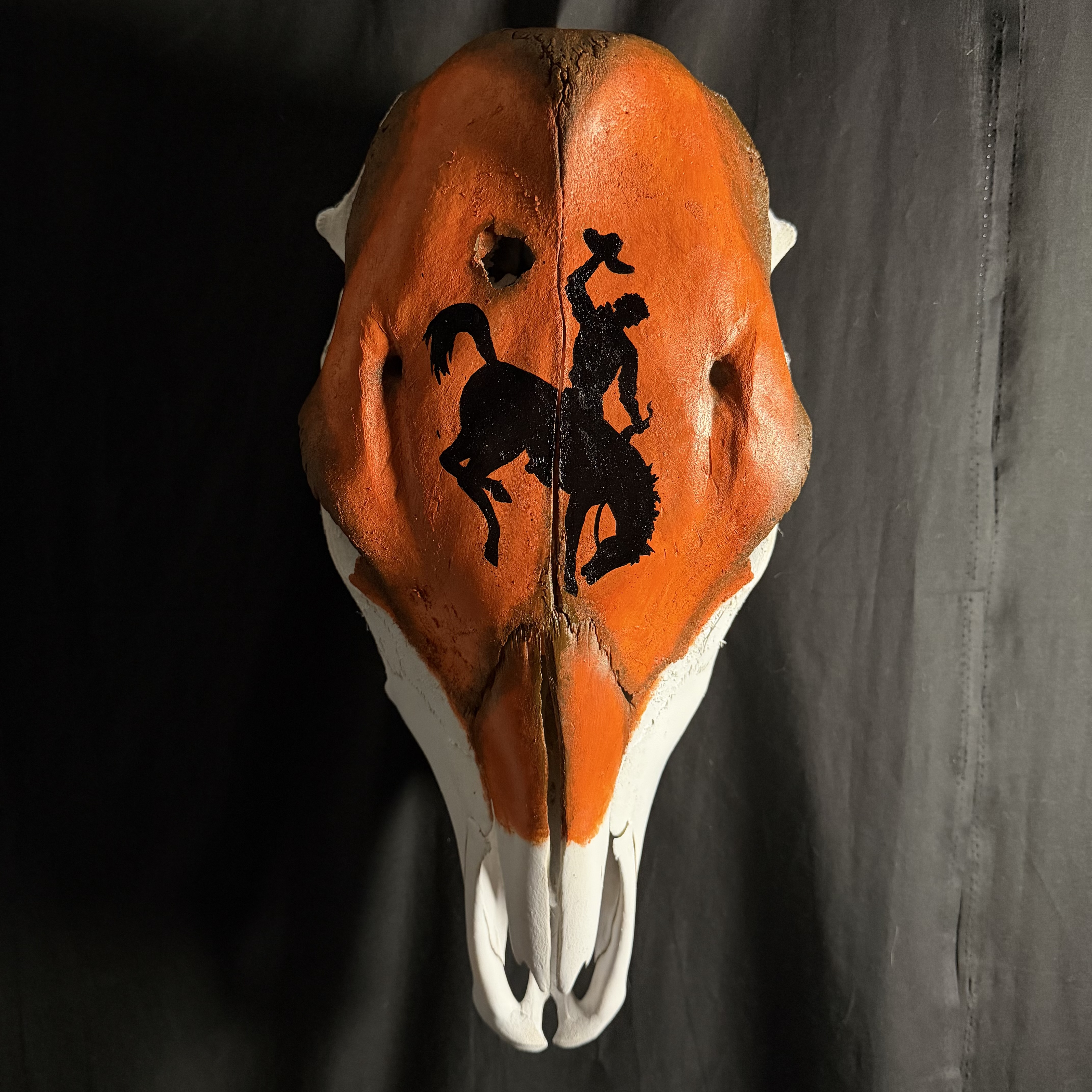 (Bronco) Hand-Painted Cow Skull Decor