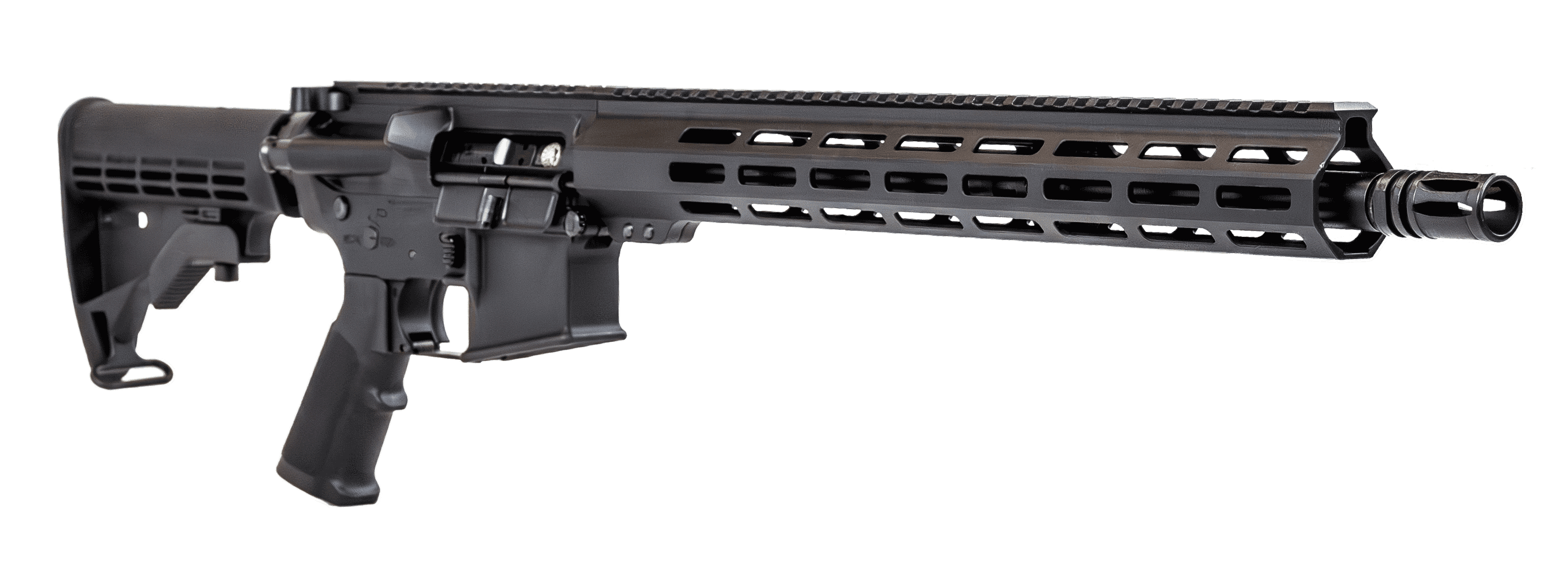 WORKHORSE LT 223 WYLDE