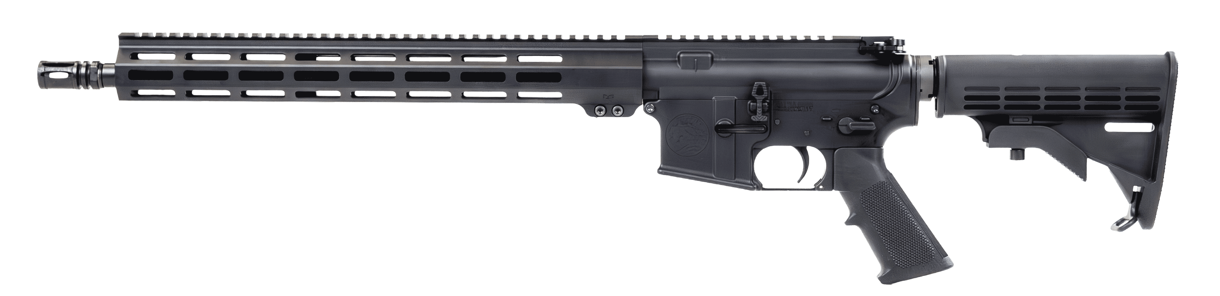 WORKHORSE LT 223 WYLDE