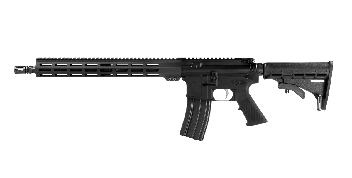 WORKHORSE LT 223 WYLDE