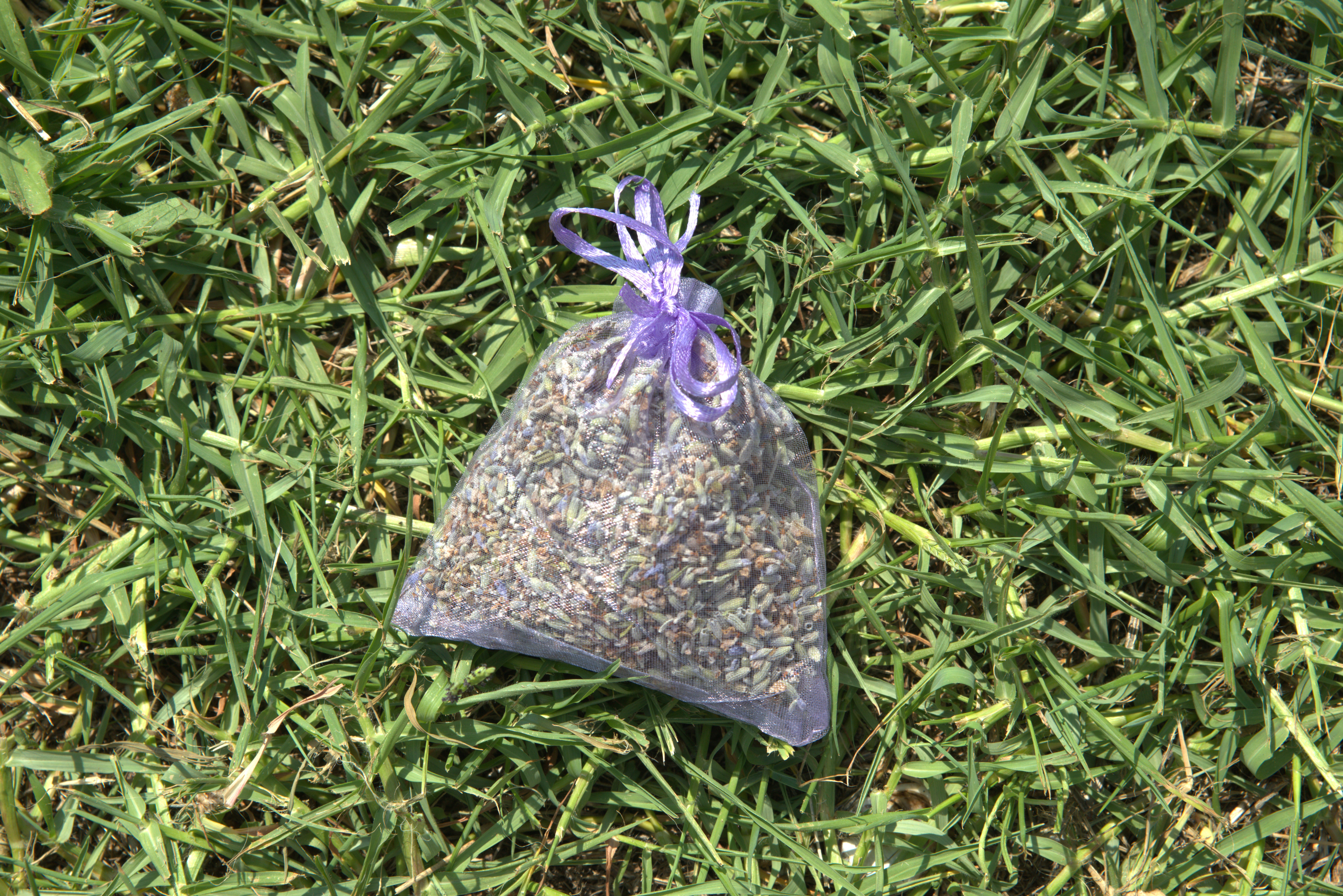 SACCHETTINO CON LAVANDA ESSICCATA