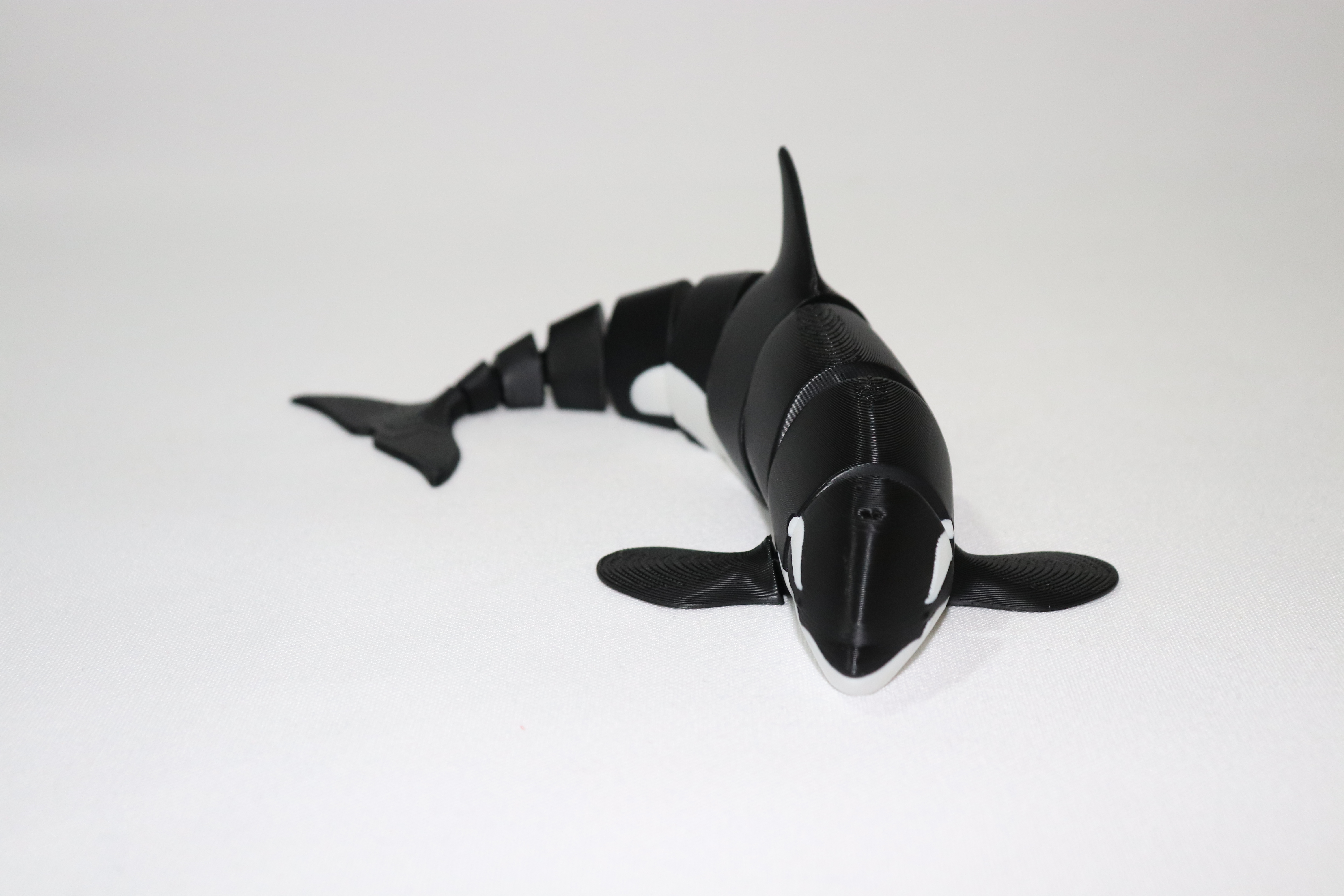 Articulated Orca