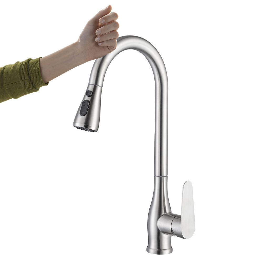 Stainless Steel Kitchen Faucet