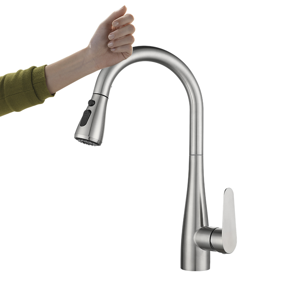 Stainless Steel Kitchen Faucet