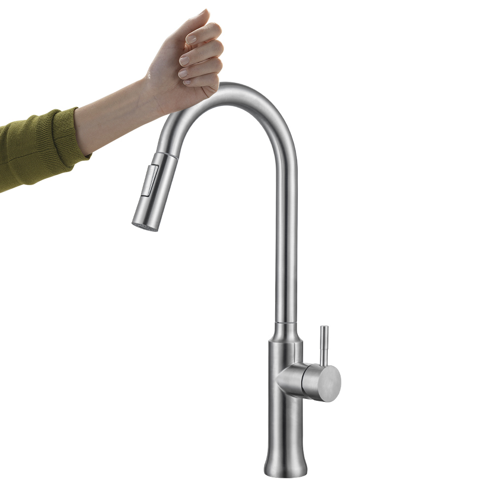 Modern Stainless Steel Kitchen Faucet