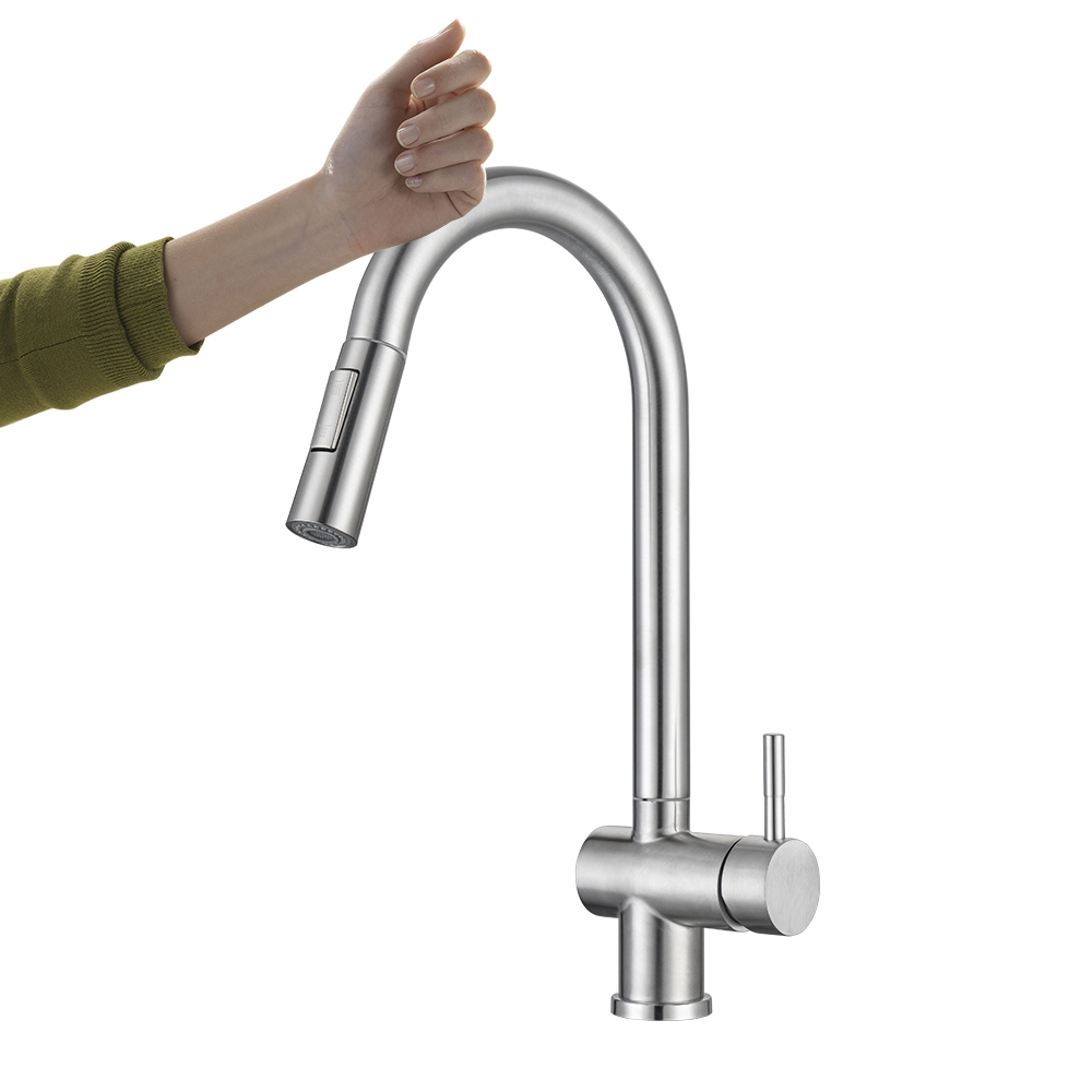 Modern Stainless Steel Kitchen Faucet