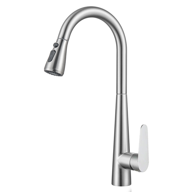 Stainless Steel Kitchen Faucet