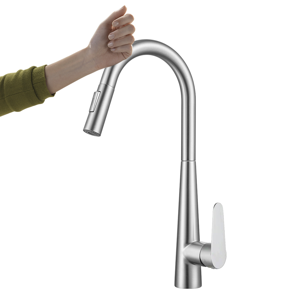 Stainless Steel Kitchen Faucet