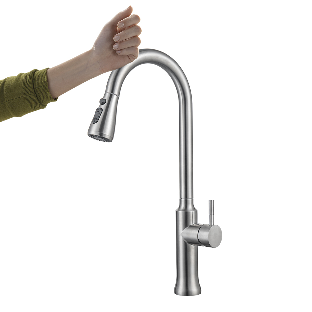 Stainless Steel Kitchen Faucet