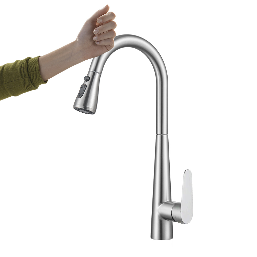 Stainless Steel Kitchen Faucet