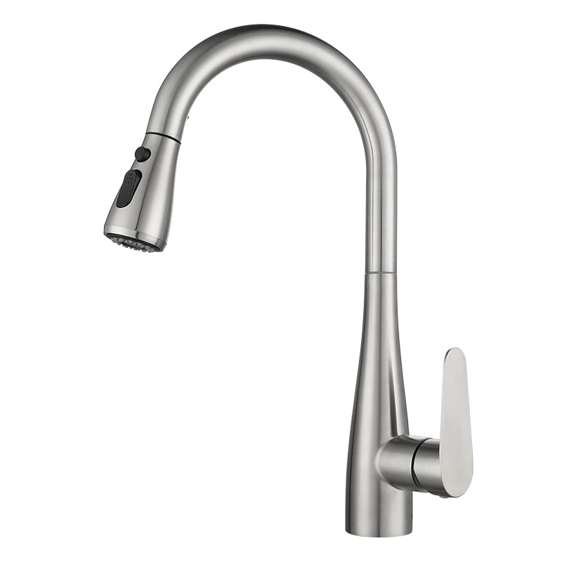 Stainless Steel Kitchen Faucet