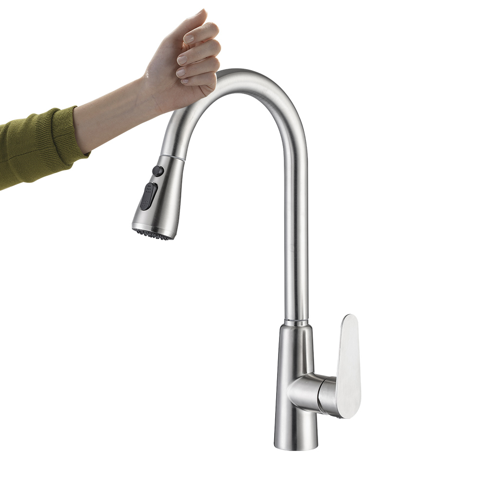 Stainless Steel Kitchen Faucet
