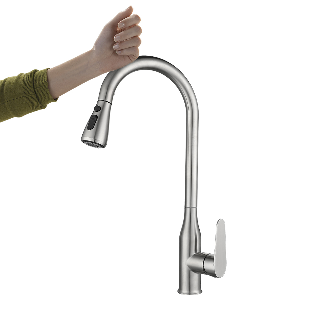 Stainless Steel Kitchen Faucet