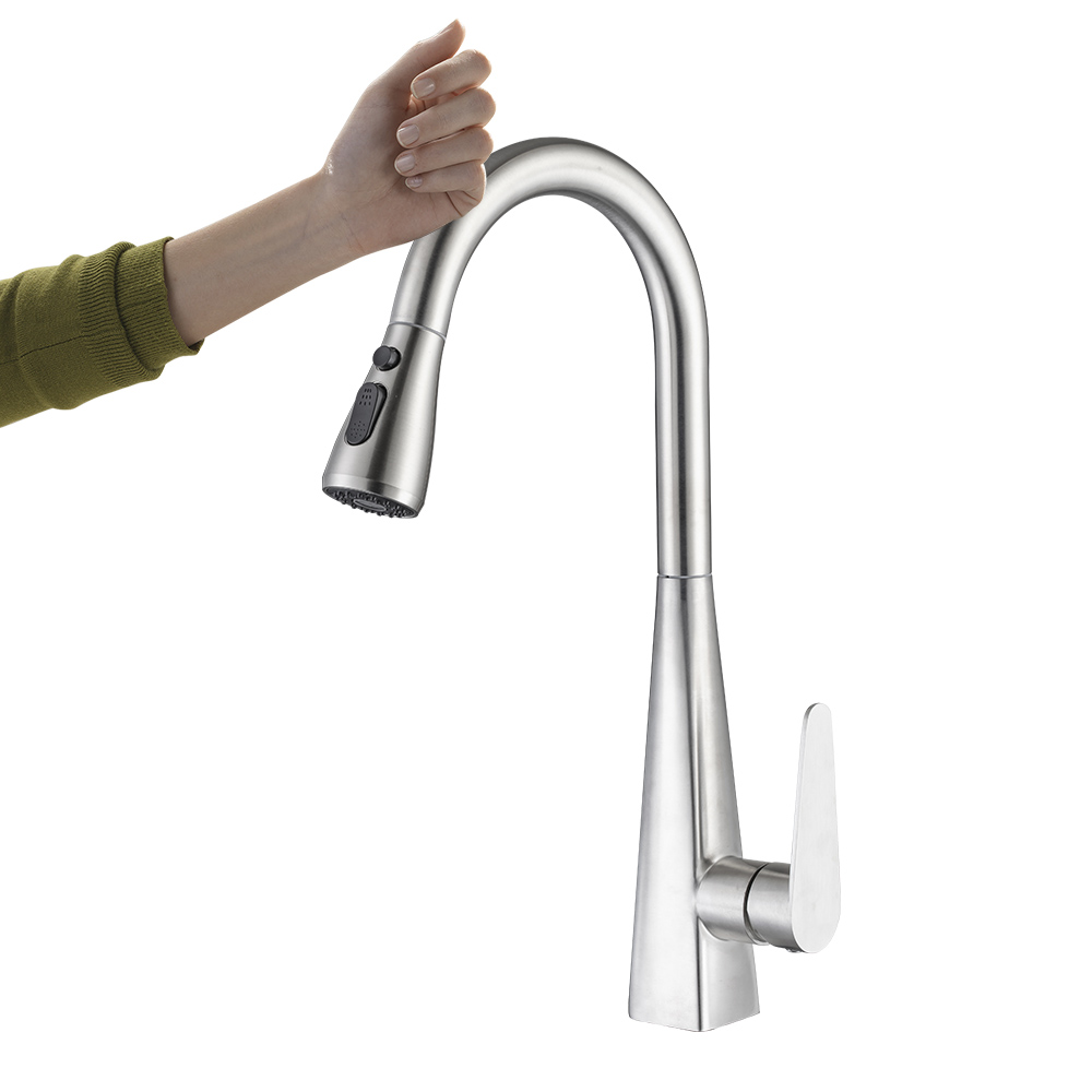 Stainless Steel Kitchen Faucet