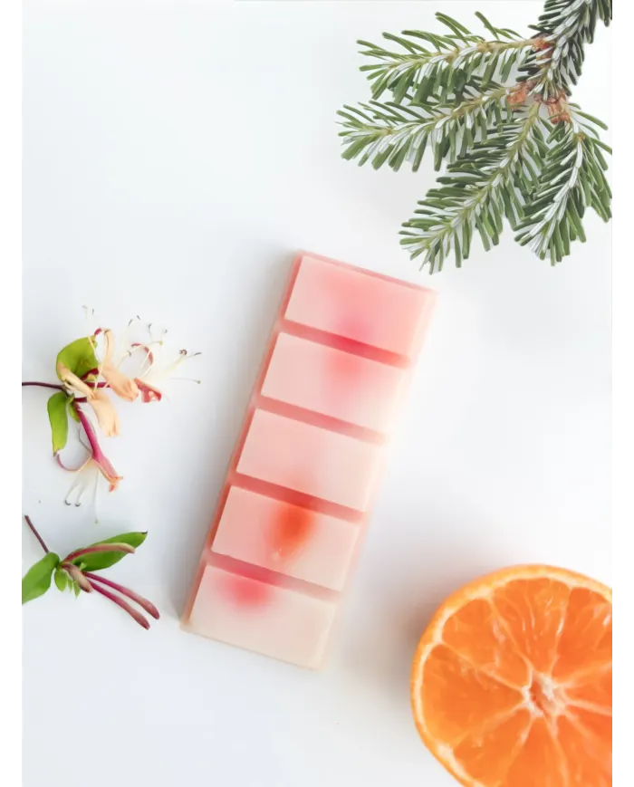 Back To The 90s Wax Melt Snap Bar