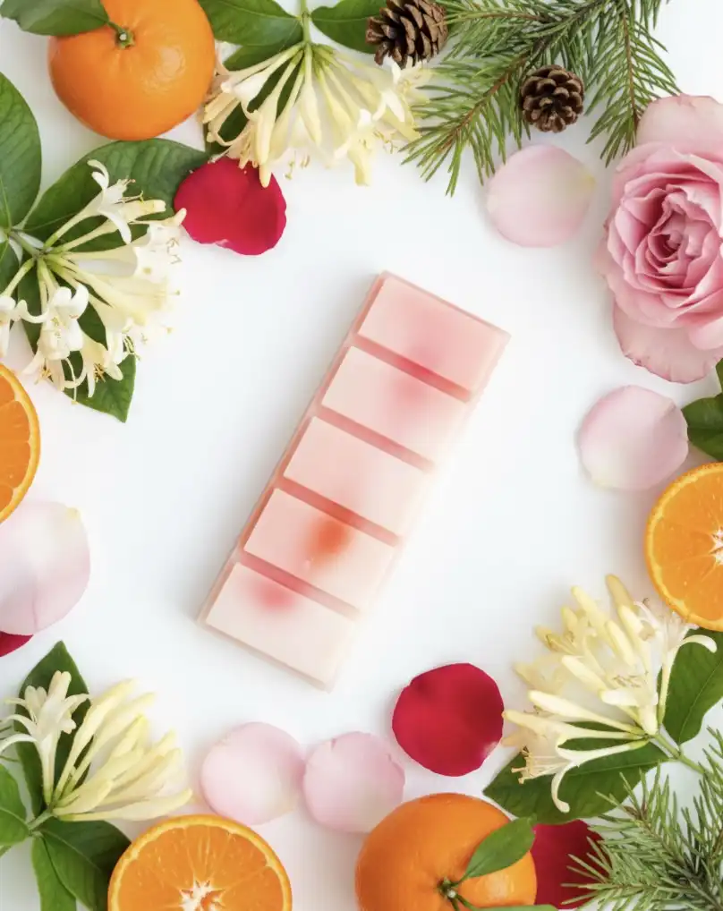 Back To The 90s Wax Melt Snap Bar