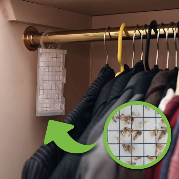 Moth Hanger & Clothes Moth Pads – 10 Pack