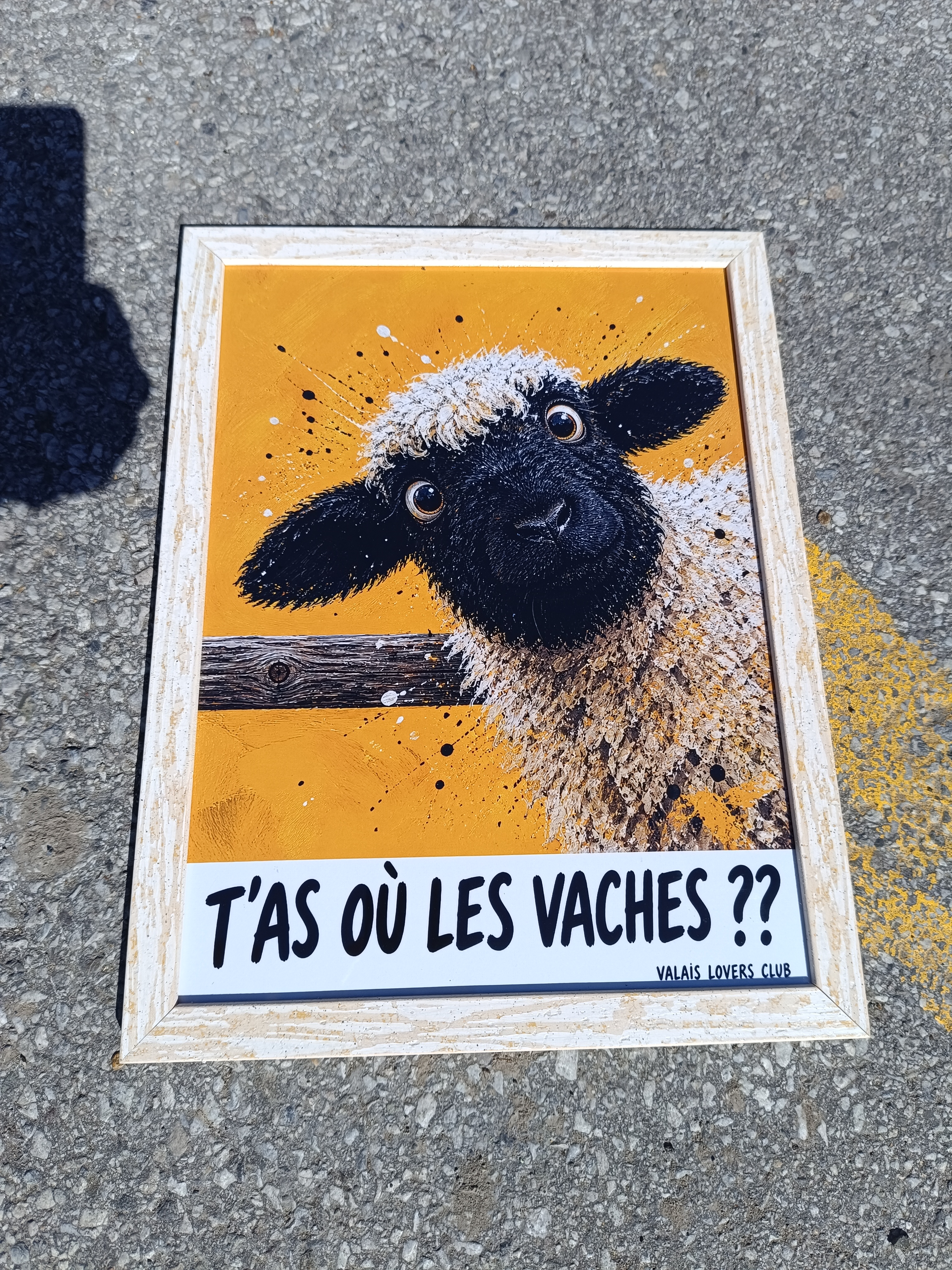 T’as où les vaches ??