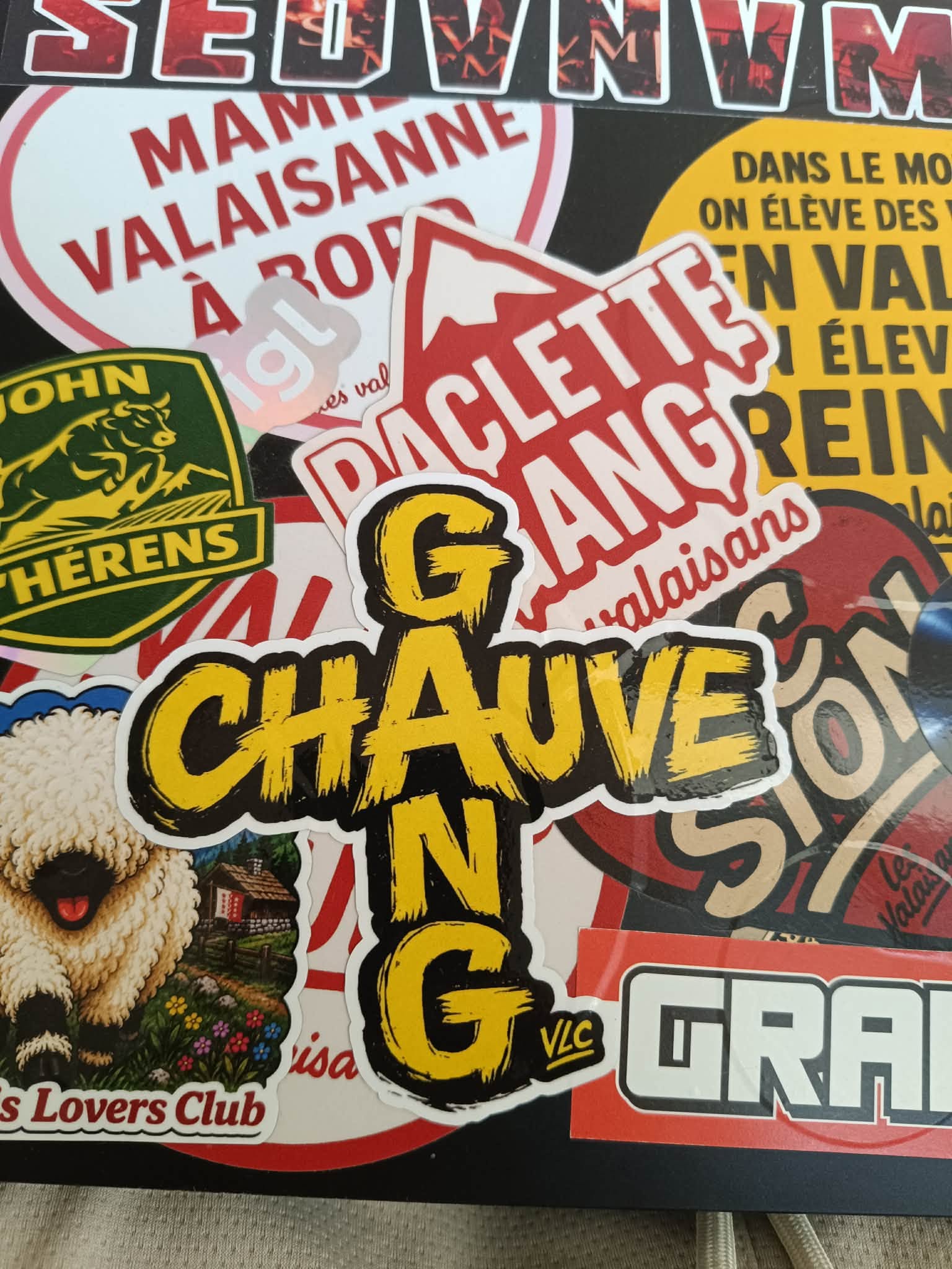 CHAUVE GANG