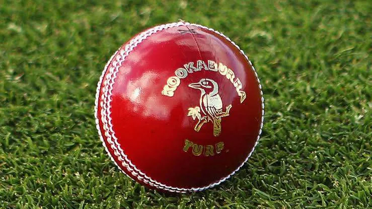 Original Kookaburra Premium leather hard ball for cricket red  hard ball