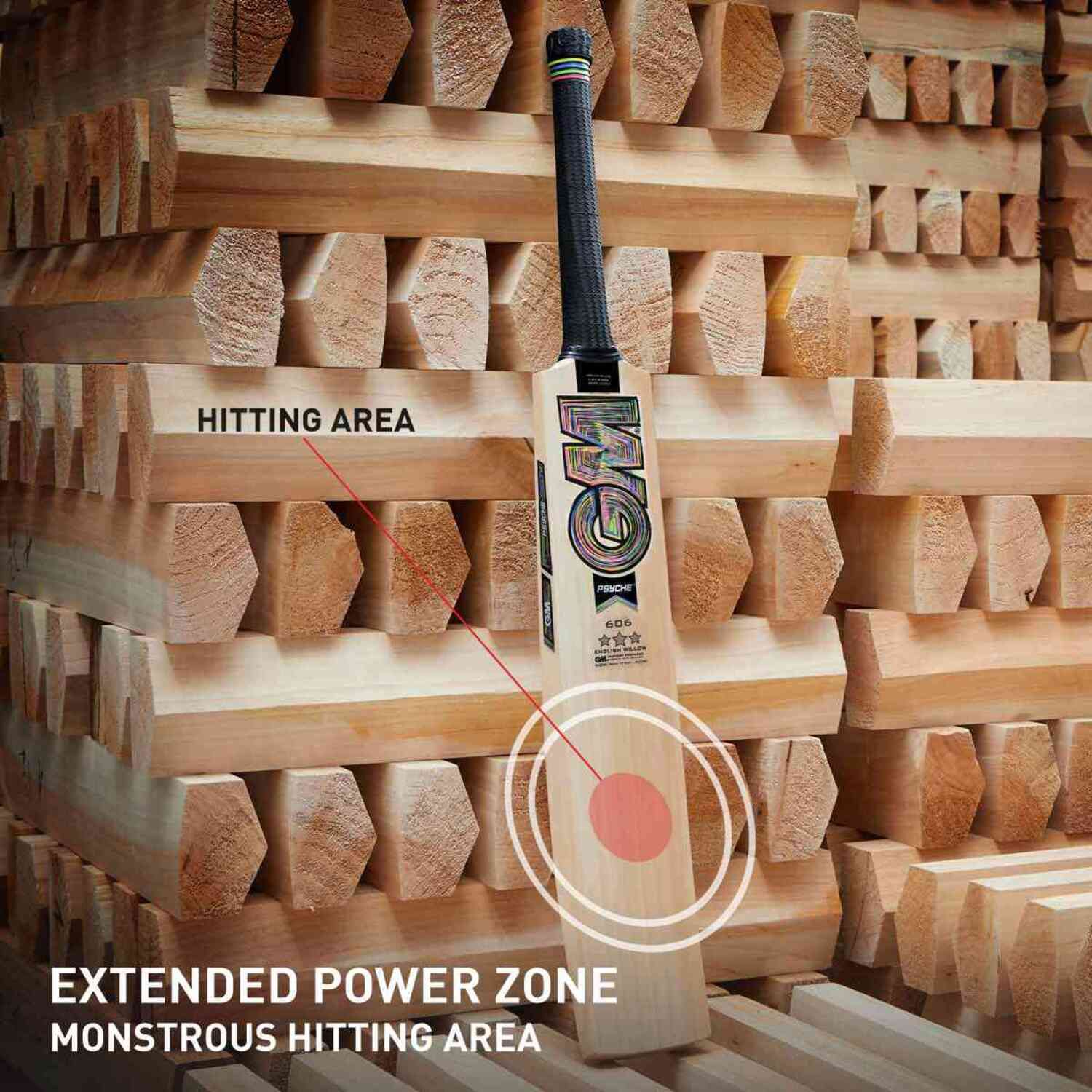 Psyche 606 English Willow Cricket Bat