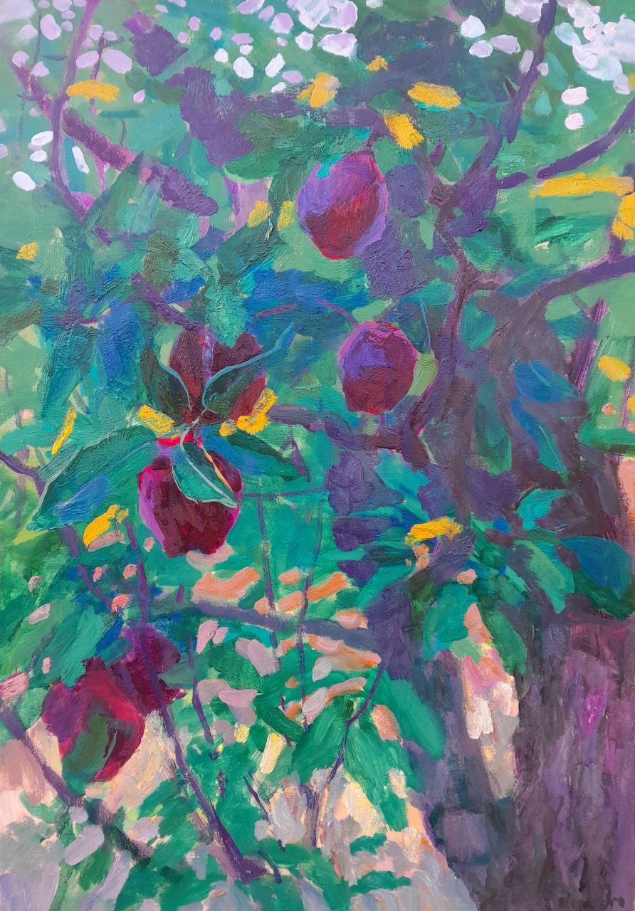 " Яблуня червона / Red apple tree ” 